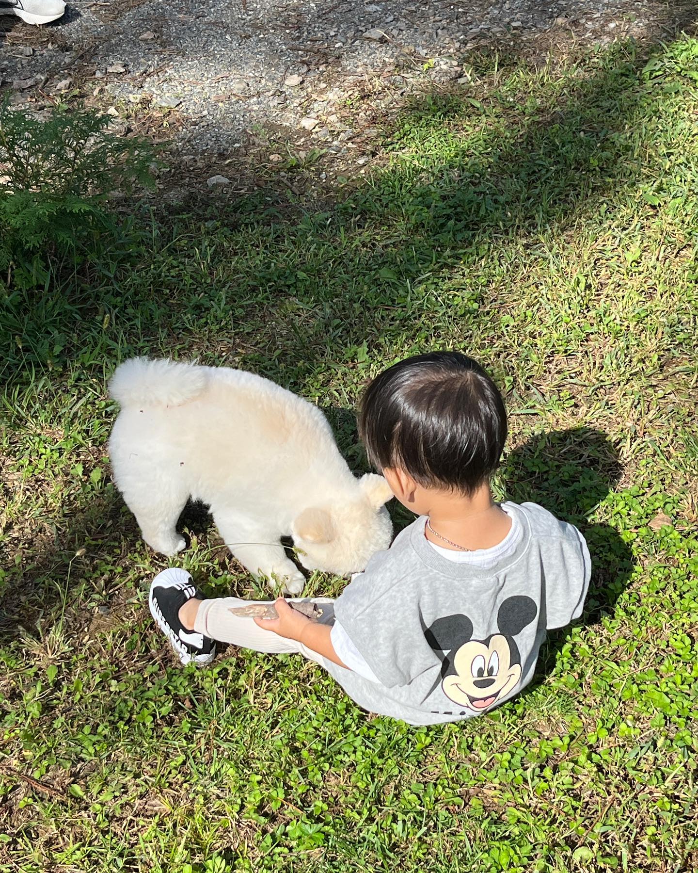 애개육아

바쁘다 바빠....
우리 담엔 바베큐도 하자💛
#시우랑보리랑