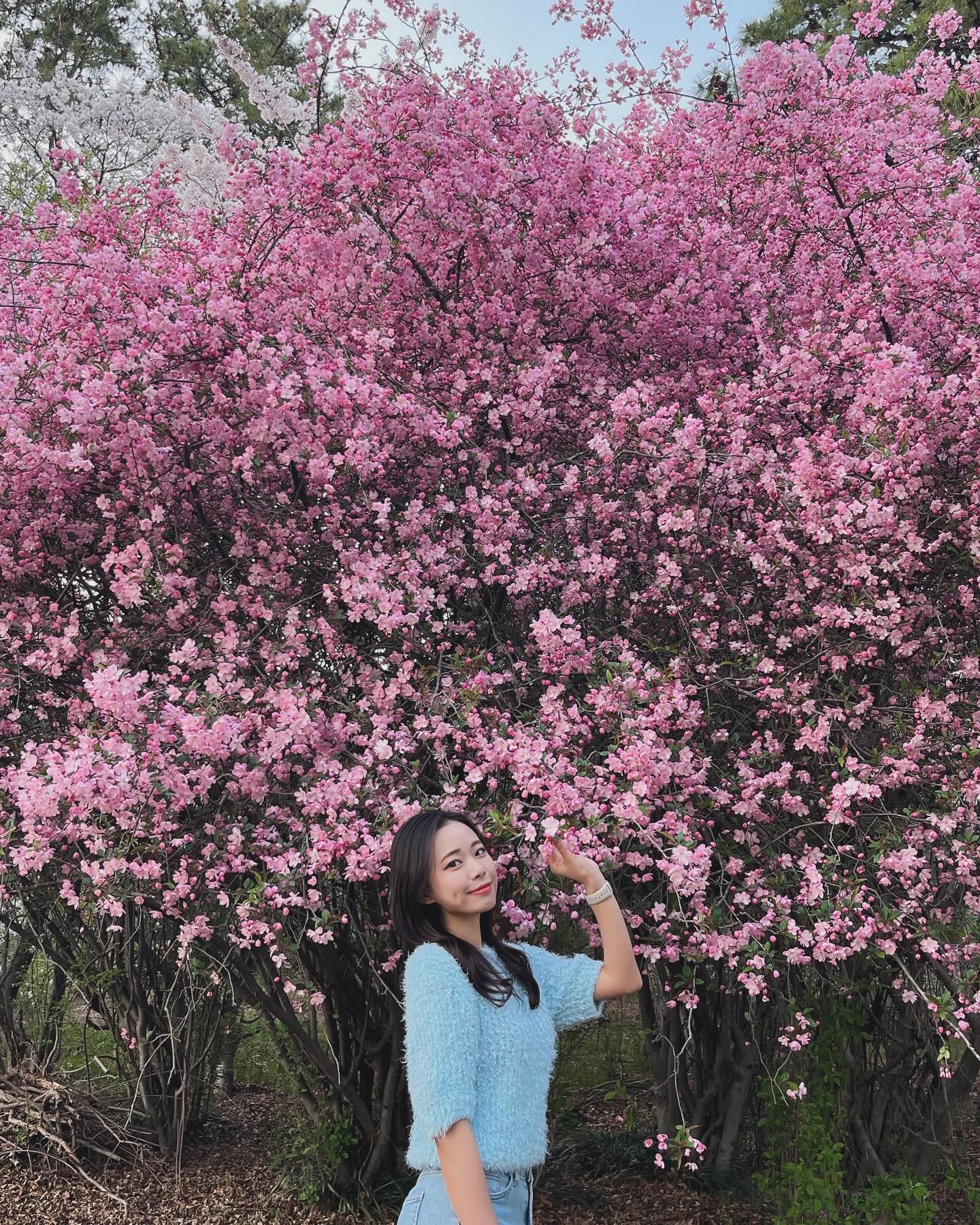 다들 꽃구경 사진 올리길래🌺🌸🌷