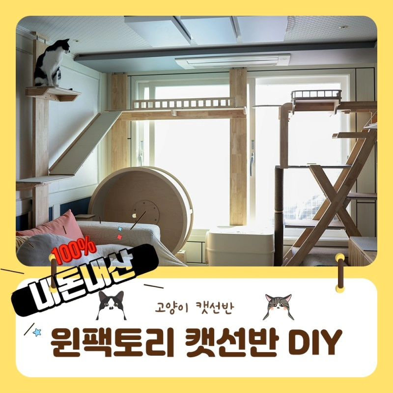 #내돈내산 #윈팩토리 #위메이드포캣 #캣타워 #캣선반 #캣워커

필요없는건 다빼고
내가원하는것만
튼튼하게!!!

좁은공간의 극강활용!!
캣타워 하나가격으로 거실2면을 커버했어요.
아이들의 동선과 집의 구조에맞춰
군더더기없이 딱쓸것만착착!!

설치도쉽고
설치하고나니 튼튼함에
안정성까지 걱정없어서
대만족입니다!!!