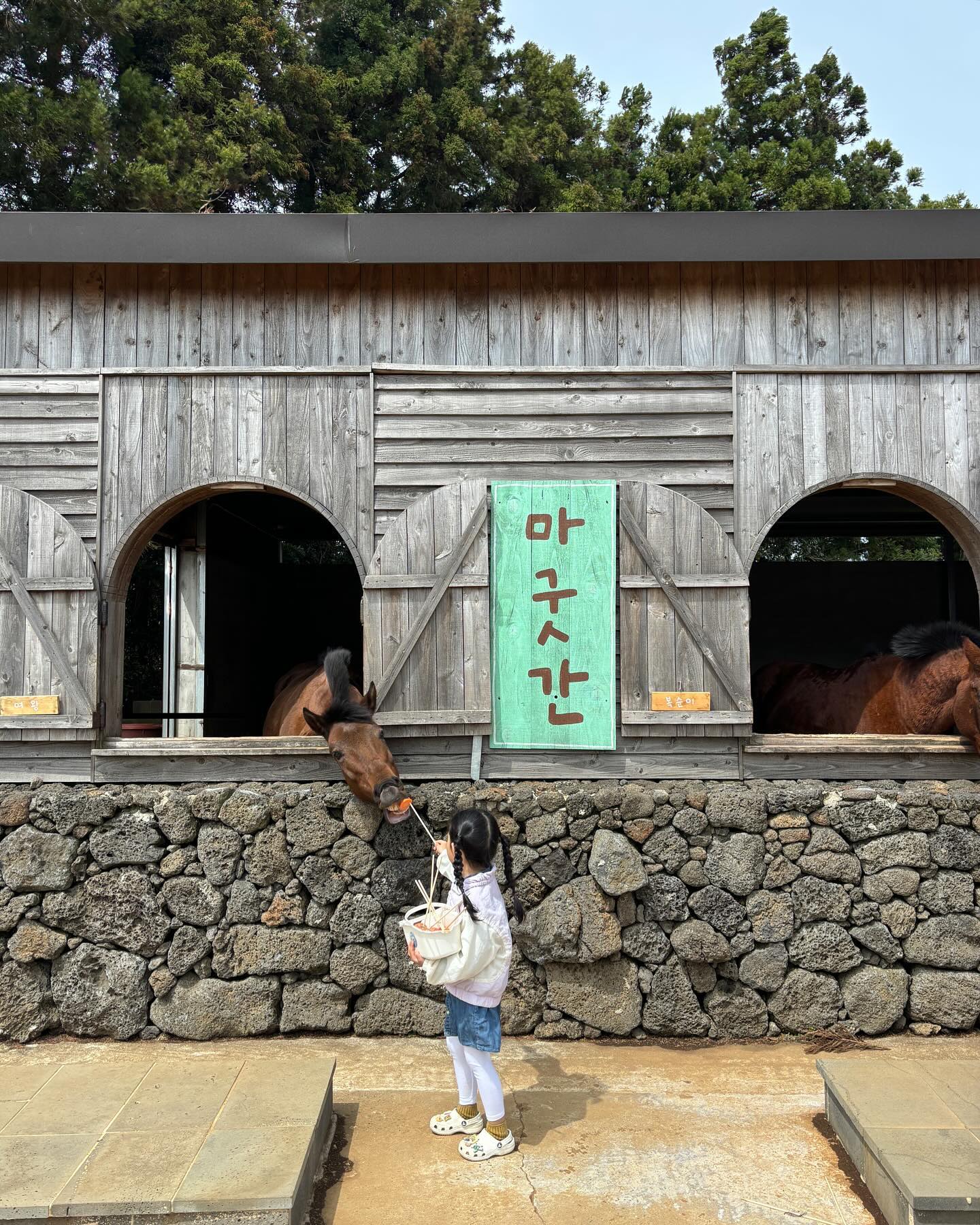 #제주살이마지막날 #밭디

이제야 올리는 마지막날!
복직과 아이들 얼집,유치원 적응으로 한달은 못 채우고
3주 살이하고 돌아왔다🙋🏽‍♀️

비행기 타기전에 내가 좋아하는 밭디에서 
승마도하고 카페도가고
이색자전거도타고 🎈마지막까지 불태우며 잘 놀았다❤️

문제는 공항... 연착되고 공항은 사람많고 덥고..
민준인 가만안있고🫠🫠다행히 이륙과 동시에 잠들어줘서 땡큐!
김포로 마중나온 신랑.. 얼굴이 좋네😀
이제 여행은 다 같이 함께다니자❤️❤️❤️❤️❤️

#아이둘과제주살이끝 #그래도행복하고좋았던추억