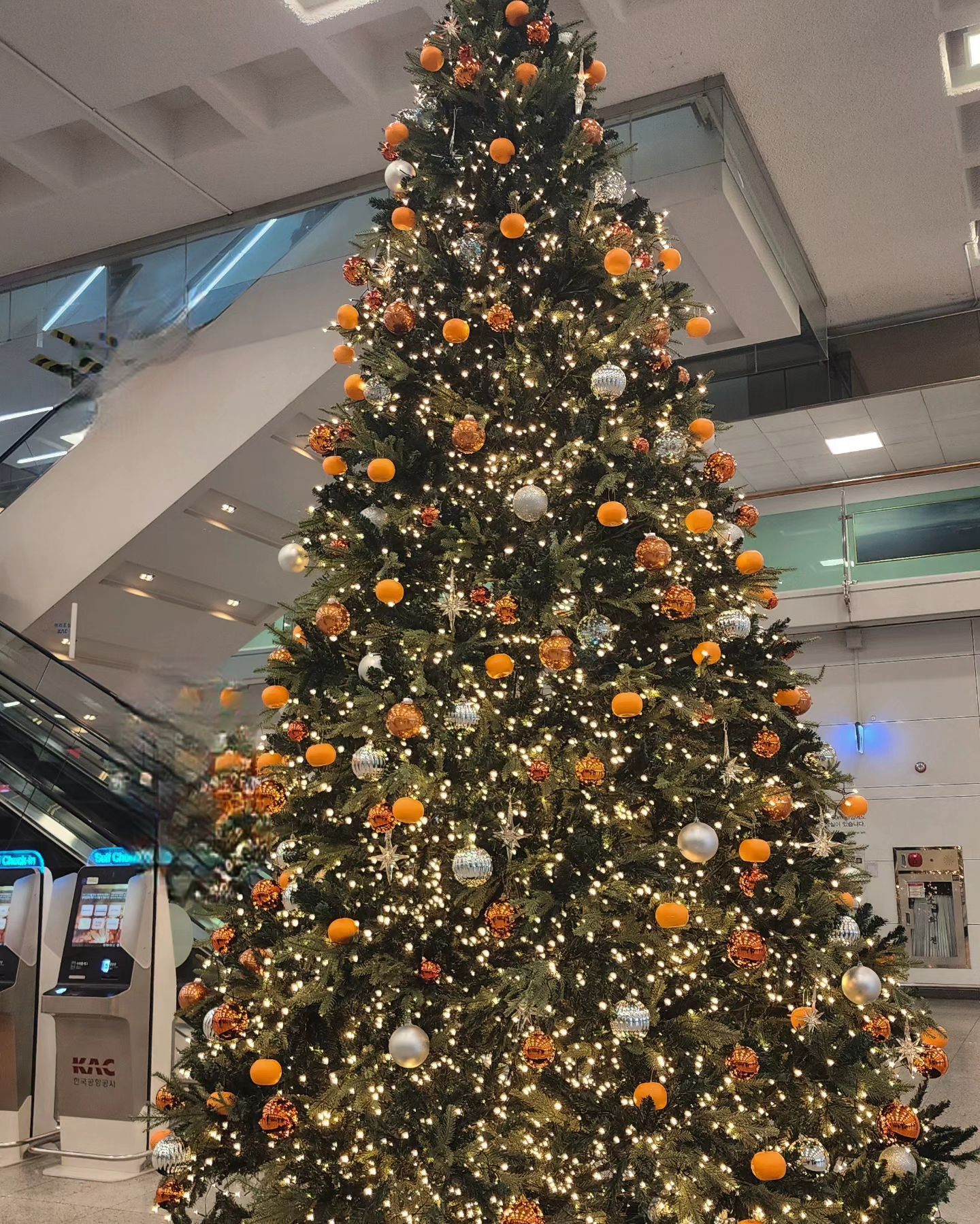 🍊트리ㅋ

#크리스마스트리 
#제주국제공항