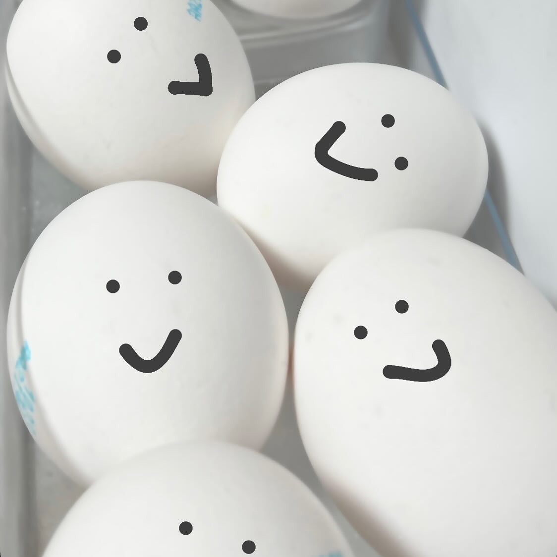 🥚
.
.
#이제안녕👋 #다시만날때까지 #성장해서돌아오겠습니다