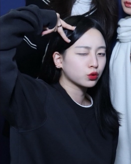 야옹