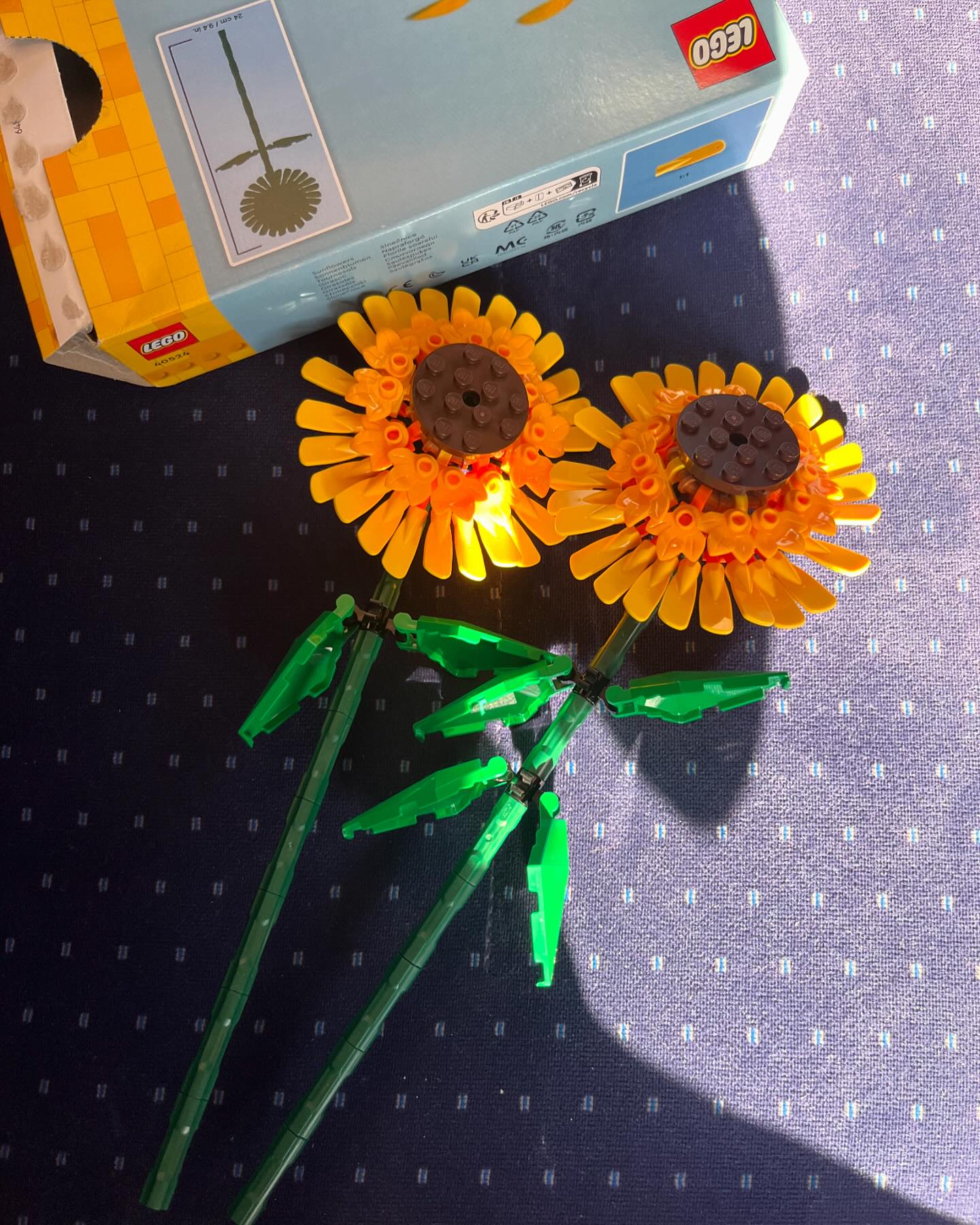 🌻
