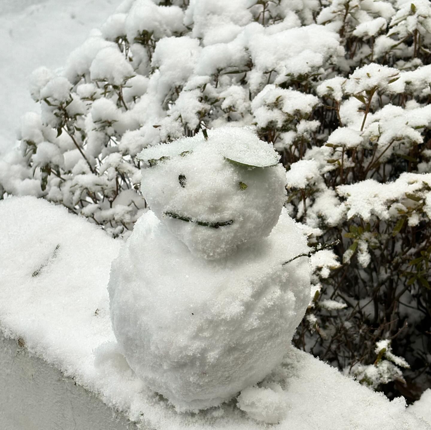 겨울 ☃️