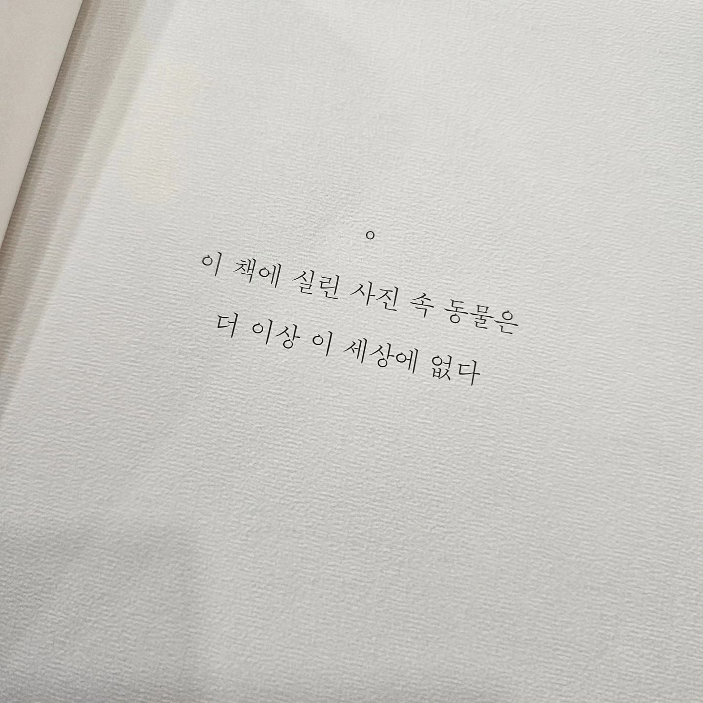#유기동물에관한슬픈보고서