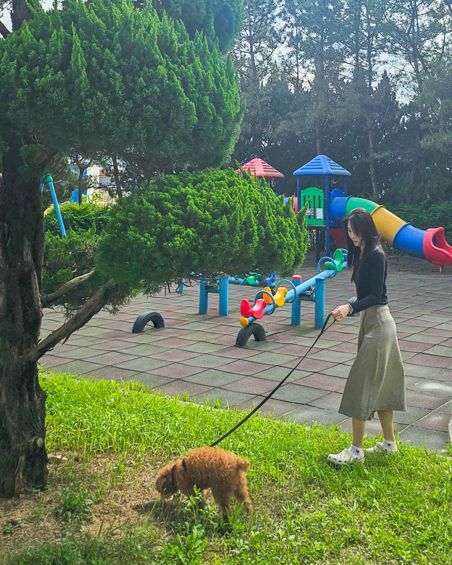 우리 집 귀여움 담당, 세미와 골드😚😘

#반려견 #반려묘 #푸들 #강아지 #고양이 #치즈냥