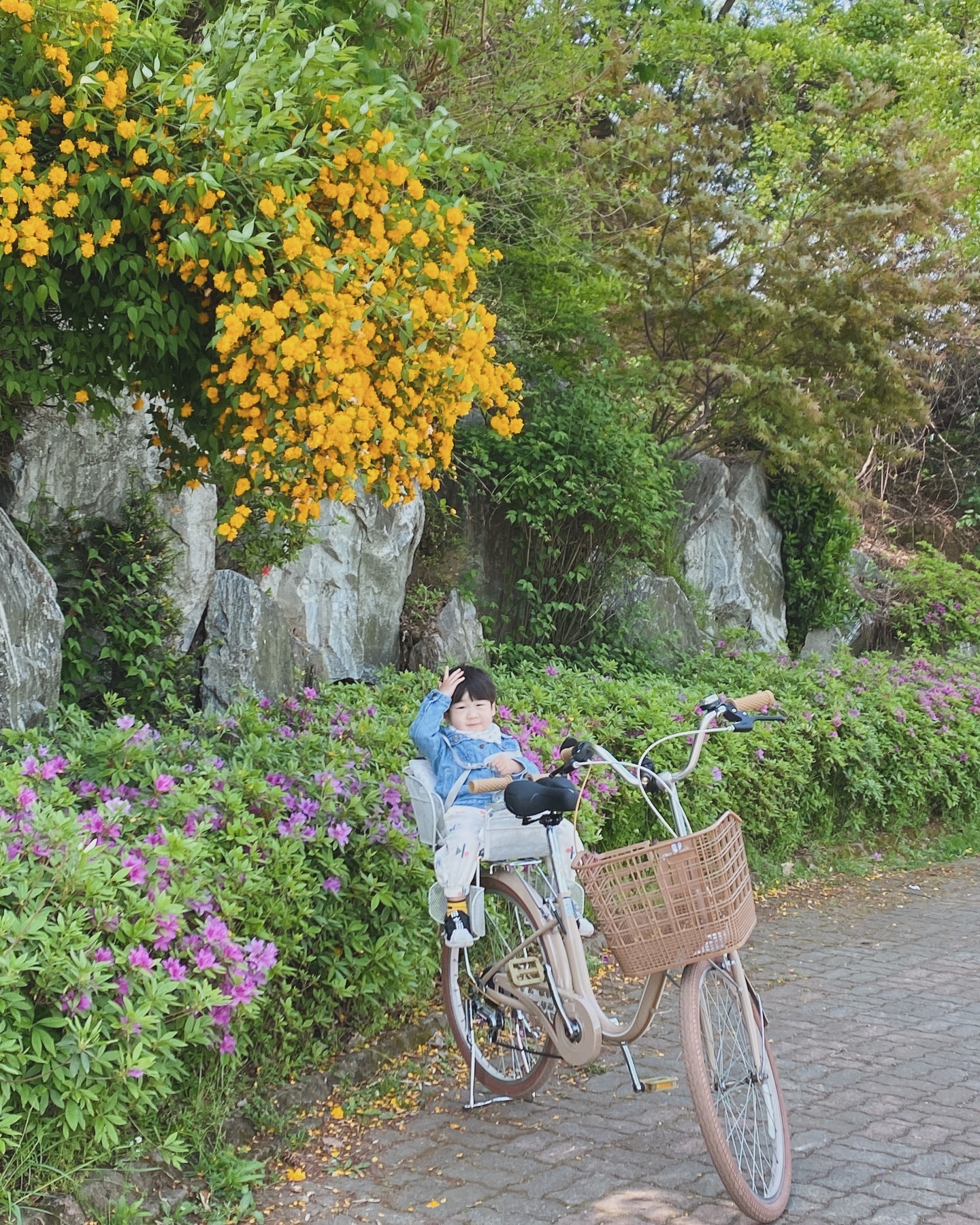 너무예쁜 내새끼🌸

#황매화 #안산호수공원