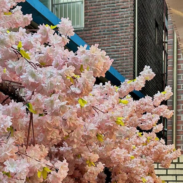 모모 (牟秀英) on Instagram: "#광고 . @bamtori_seongsu 📍서울 성동구 왕십리로4길 10-9 . 한국 속 미니 일본🇯🇵 밖에 포토존도 있고 안에 들어가면 아늑한 분위기의 테이블석과 카운터석이 있는