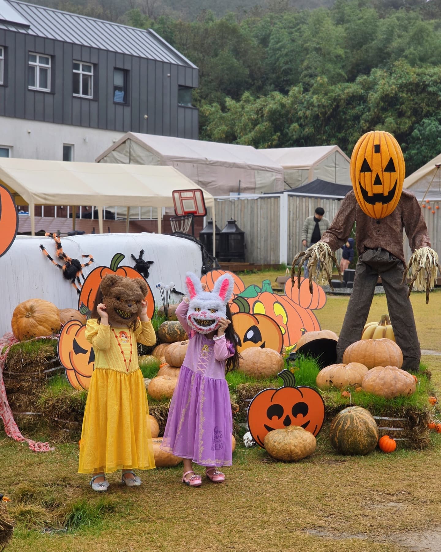 🎃할로윈파티🎃

내년에는 할로윈파티 초대장을 주변에 보내봐야겠다
다같이 모여서하는 할로윈파티는 너무 신나고 재밌었다!
우리보다도 아이들이 너무나 즐거워했던 시간 -!
빅지혜님 덕분에 잘다녀왔던 bamboosound_camping 밤부사운드
주말에 또 한번 가보고 싶다 .. 넘 좋더라 .. 담번엔 남편들도 데려가야지

#밤부사운드캠핑장 #할로윈파티 #할로윈캠핑 #엘사코스튬 #팅커벨코스튬 #피터팬코스튬 #뽀로로병걸린 #엄마미들과아이들 #육아일기 #육아일상 #육아기록