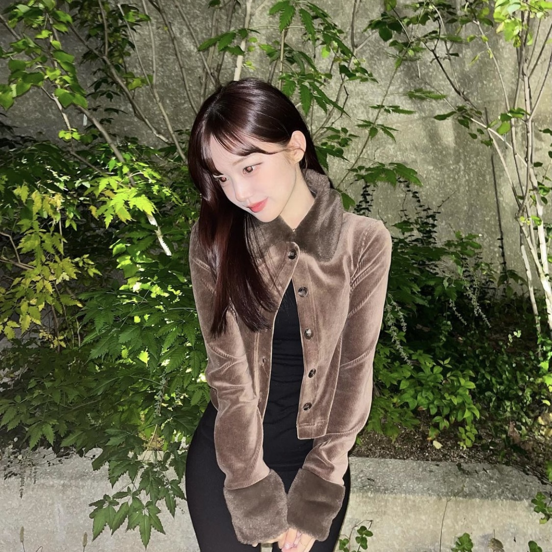 콘텐츠