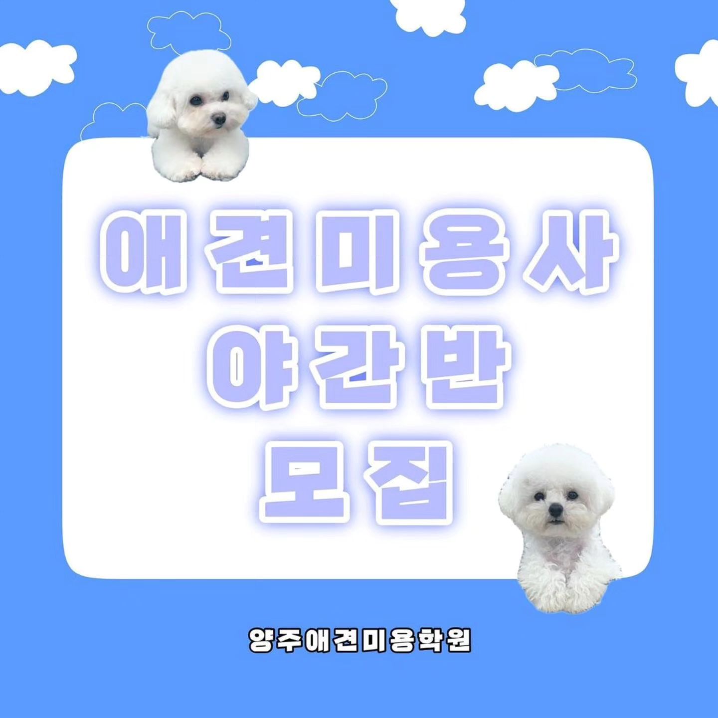 야간반 오픈합니다🩵
위그 수업으로 화요일 목요일 18:00~21:00 시간에 진행합니다
자격증 후딱 따고 이직 같이 준비해요🔥

#양주애견미용학원 #애견미용 #애견미용사 #위그 #위그수업 #애견미용학원 #애견미용자격증 #동두천애견미용학원 #의정부애견미용학원
Reposted from yangju_grooming_academy