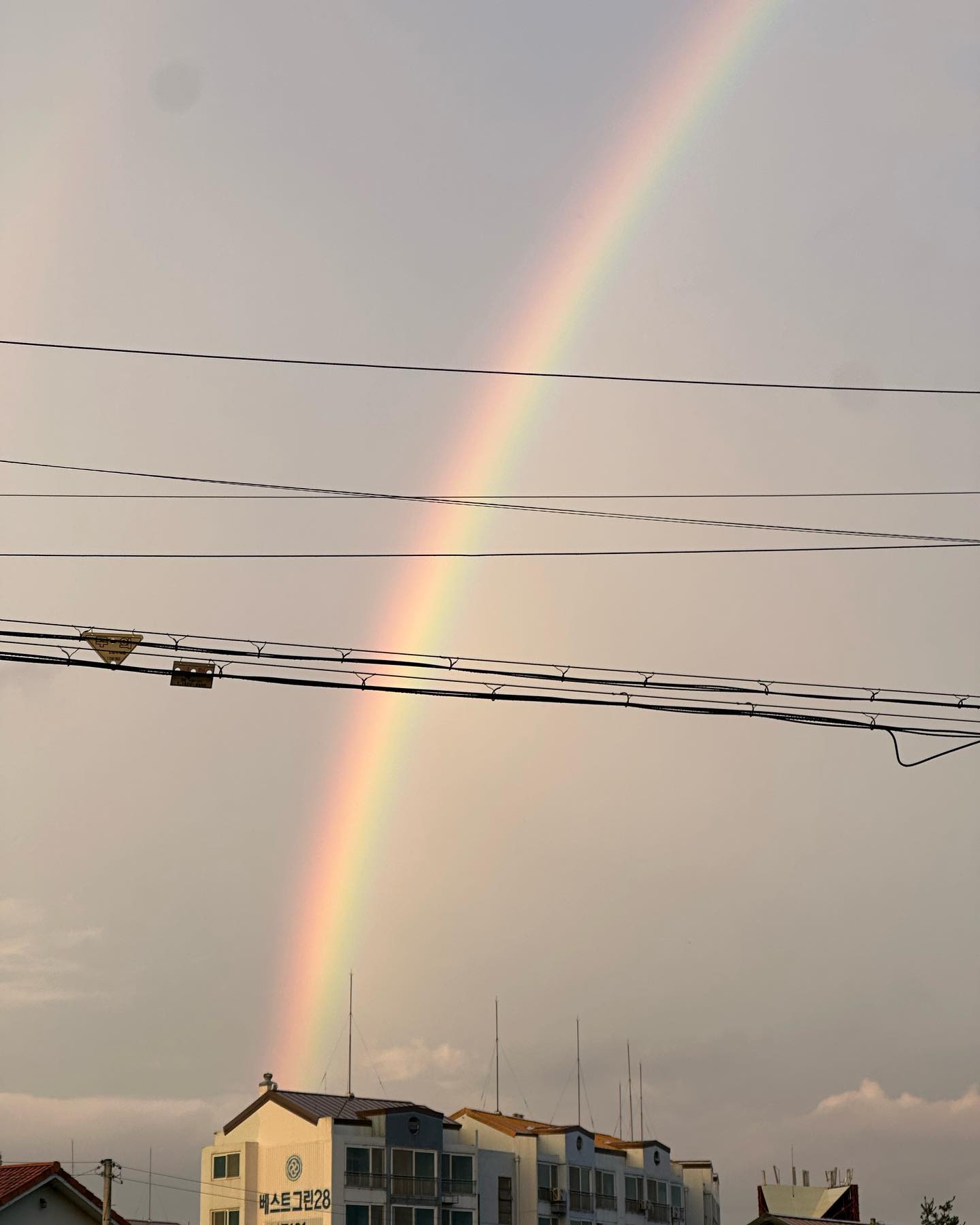 좋은일이 생길것민같아~
#무지개🌈