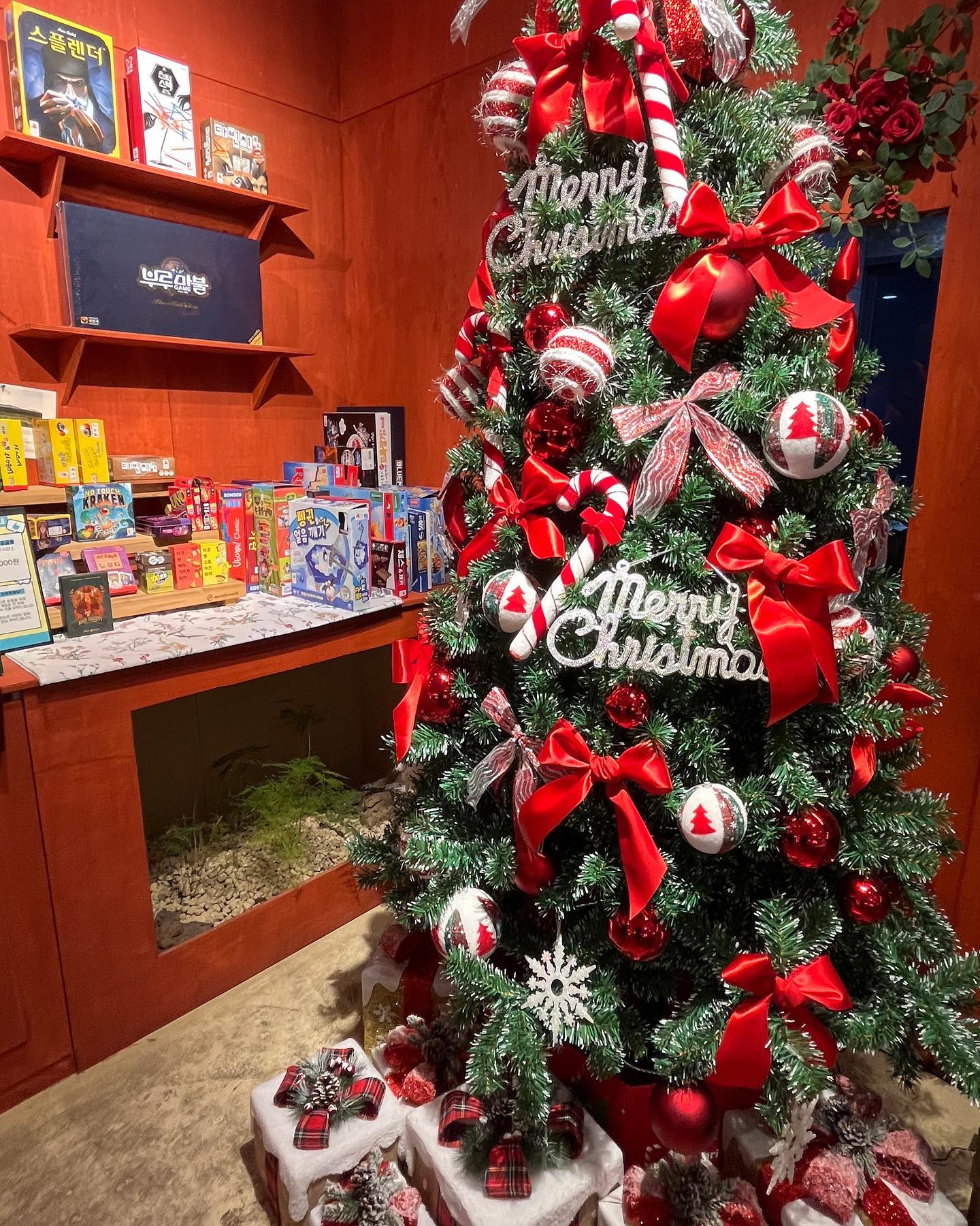 눈도 오고 겨울 분위기 낭낭해서 행복해🎄