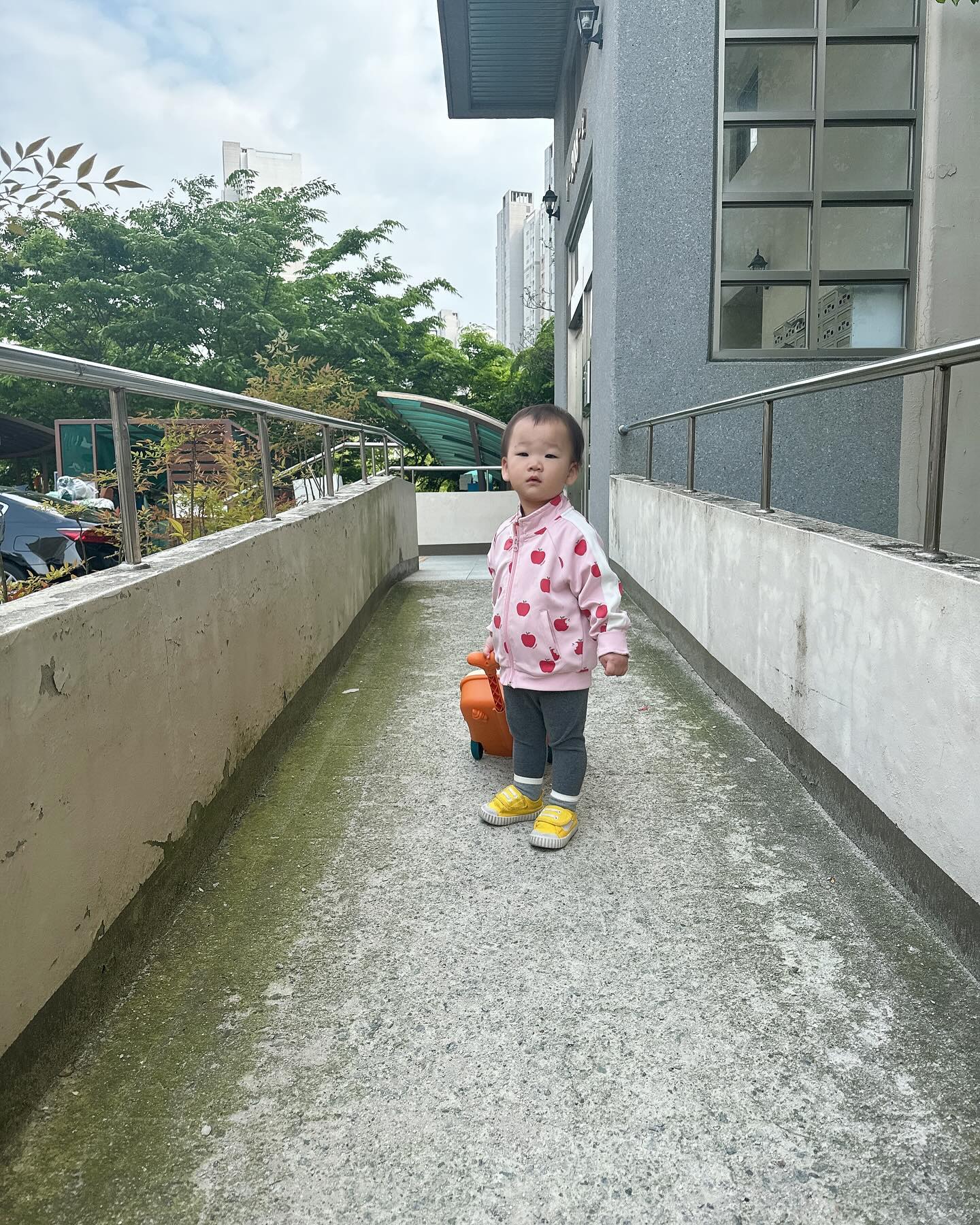 👶🏻+587일🫶

어린이집에서 어린이날 선물이라고 케이어 선물해줌🤍
가방 안에는 물놀이 장난감도 있고 놀러갈때는 장난감 빼고
서윤이 물건 담으면 딱인 가방👍
받자마자 여기저기 끌고댕기느라 1시간도 안되서 가방에 상처남ㅋㅋㅋ
끌고댕기는 모습 너무 귀여워🤍🤍

#윤서유니#어린이날선물#아기케리어가방#선물받음🎁#놀러가자❤️