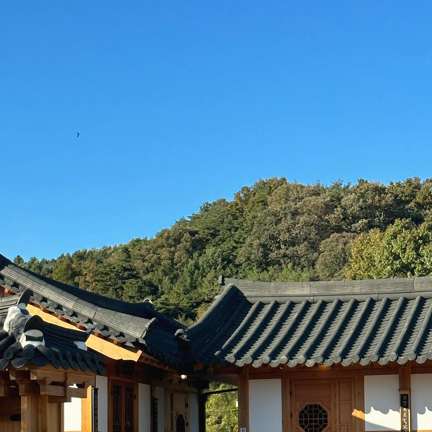 날씨요정들과 행복했던 공주여행👀🤍
열 스냅작가 안부러운 우리 재주꾼작가님들✨