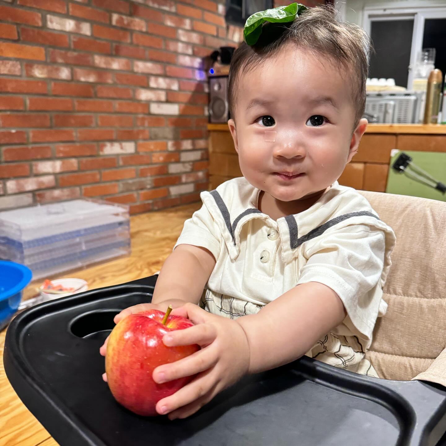 사과 하나로 이렇게 행복하다고?!🍎