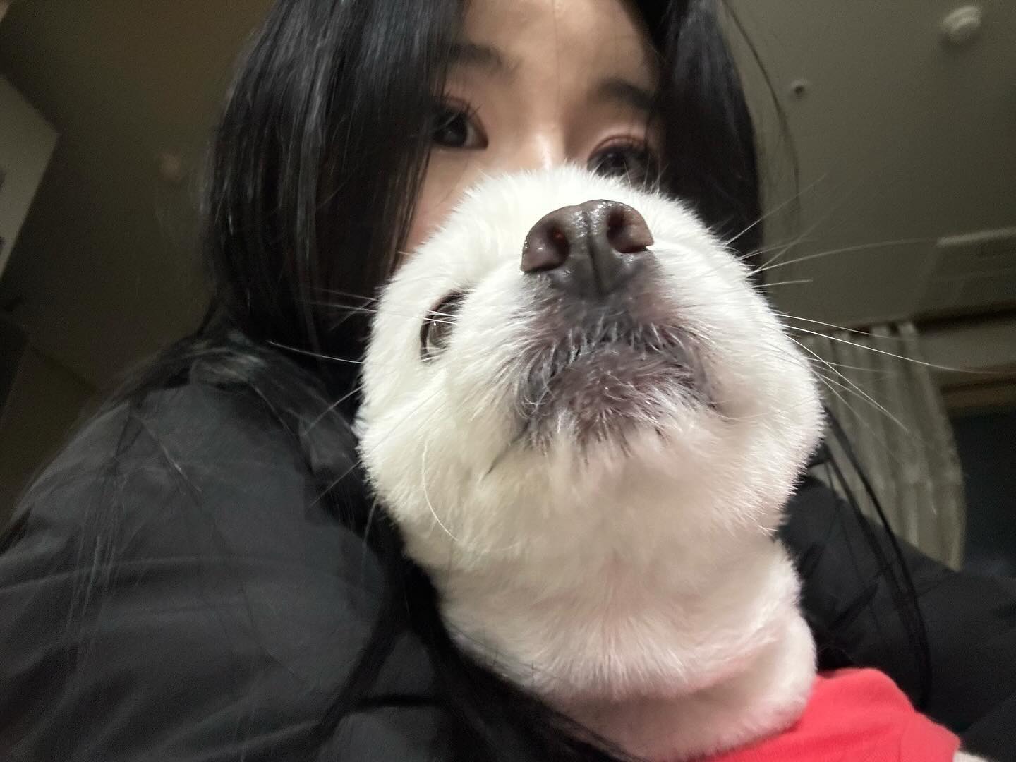 10장 초과하면 화내는 강아지