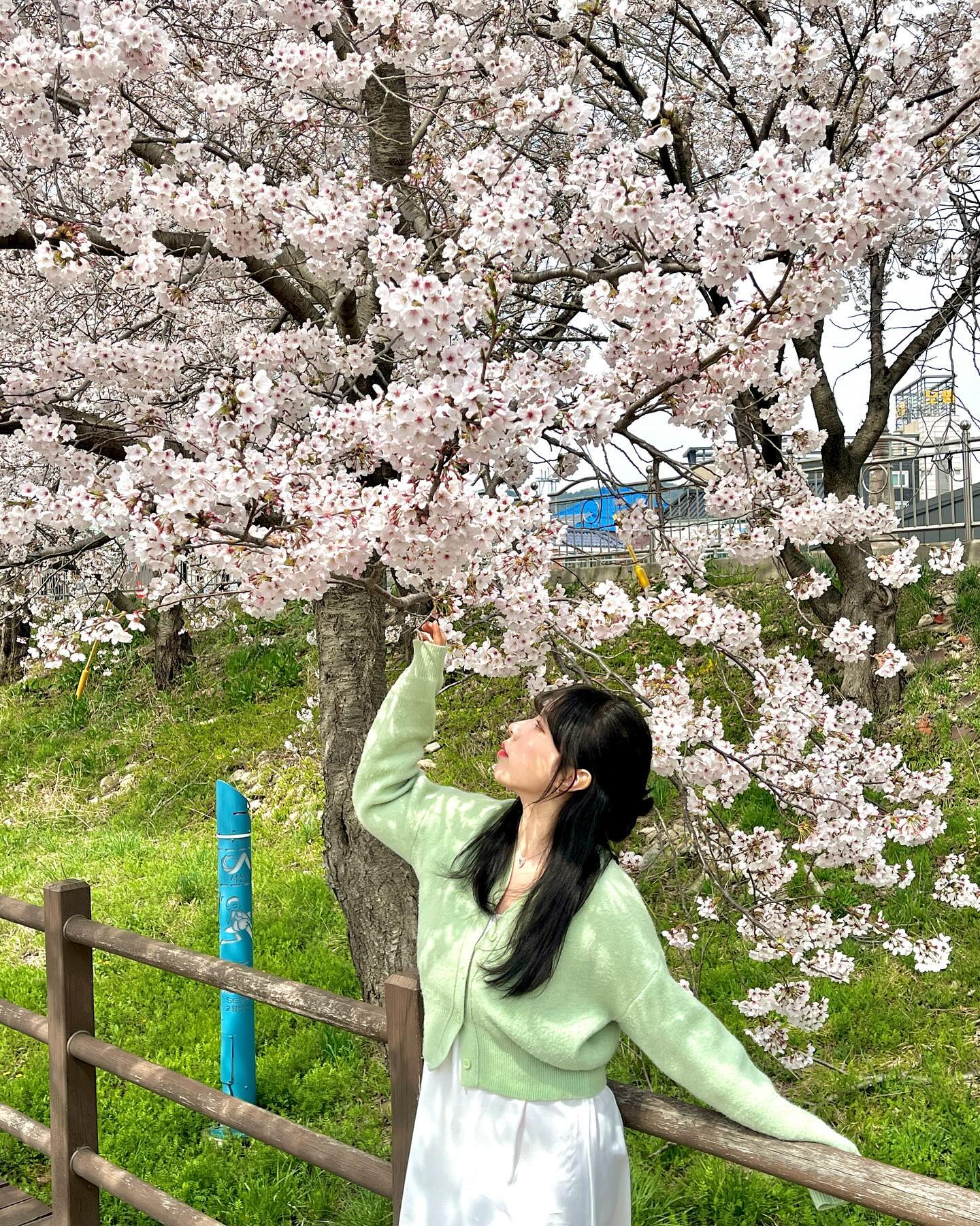 봄이 조아🌸🌸