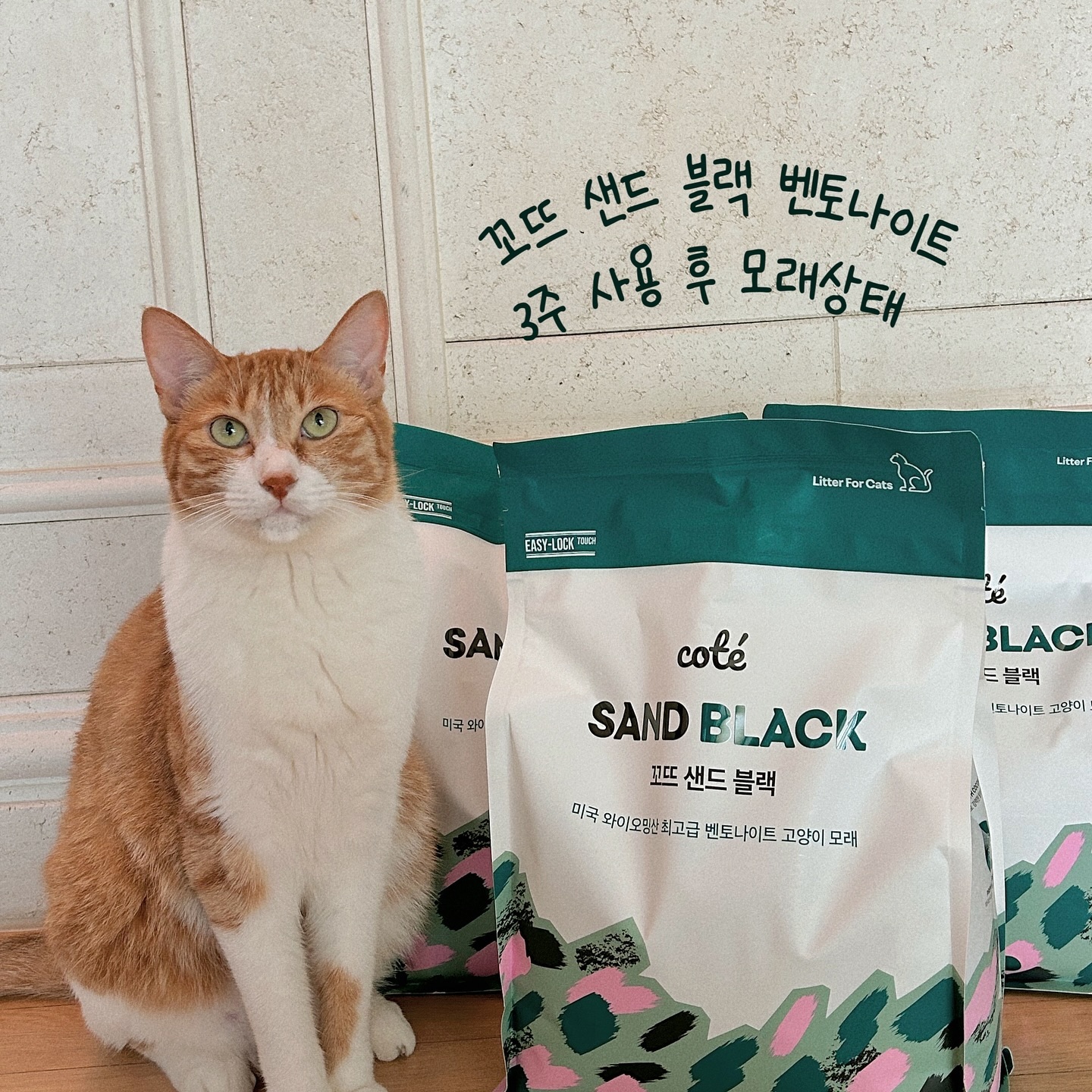 #제품제공 cote_from_seoul 

꼬뜨 캣스널 컬러 이벤트에 당첨돼서 
꼬뜨 샌드 블랙 18kg 보내주셨어요 🎁

사실 여우는 이미 샌드 블랙 사용하고 있기도 했고 
저번에는 개봉후기 위주로 보여드려서 
이번에는 7월 초부터 3주간 사용한 후의 모래 상태를 
위주로 보여드리겠슴다 😚

일단 3주 후 모래상태는 만족스러웠어요😎 

먼지날림은 처음부터 계속 거의 없는 상태예요
만져보면 먼지가 있긴한데 여러번 만져야 느껴지는 수준이라서 
불편하지 않았어요 ‼️
그리고 응고력은 진짜 꾸준히 최상을 유지중이에요 :D 
단 한 번도 뭉개지거나 갈라지는 경우가 없었어요 👍🏻
또 눈으로 봐도 거의 비슷하고 깔끔함 유지 ☁️
다만 저는 두 봉지만 넣었더니 살짝 부족하더라구요 
세 봉지를 다 넣어줘야 약 한 달간 바닥 보이는거 없이 
사용할 것 같아요 〰️

아마따- 장마기간 동안도 겹쳤는데 습한 냄새 
1도 안났음! ! ! ☔️🌂 장마에도 강한 모래라구욧…🤍

#고양이벤토나이트 #꼬뜨샌드블랙