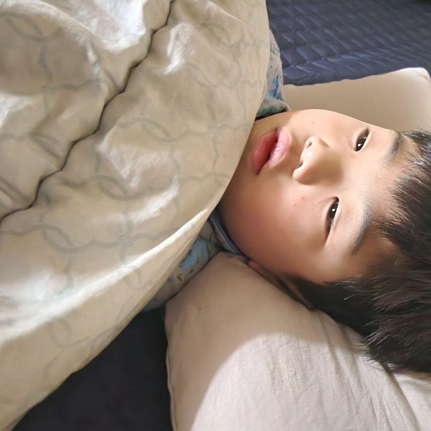 하루 잘놀고 그날밤부터 난리난 두찌
위아래 위아래 하여간 6.25때 난리는 난리도 아닌
밥도 못먹고 계속 쏟고 쏟고 
아빠랑 형아는 할머니네가고
엄마는 치우고 씻기고 닦고 청소하고 힘들었다
면역력이 약해졌나 싶게 요즘 자주 아픈 우리
제발 아프지말자

#두찌 #아픈두찌 #장염 #노로바이러스 #라고한다 #유행은다하네 
#이아이나으면  #내가아플까봐무섭 #빨리낫자