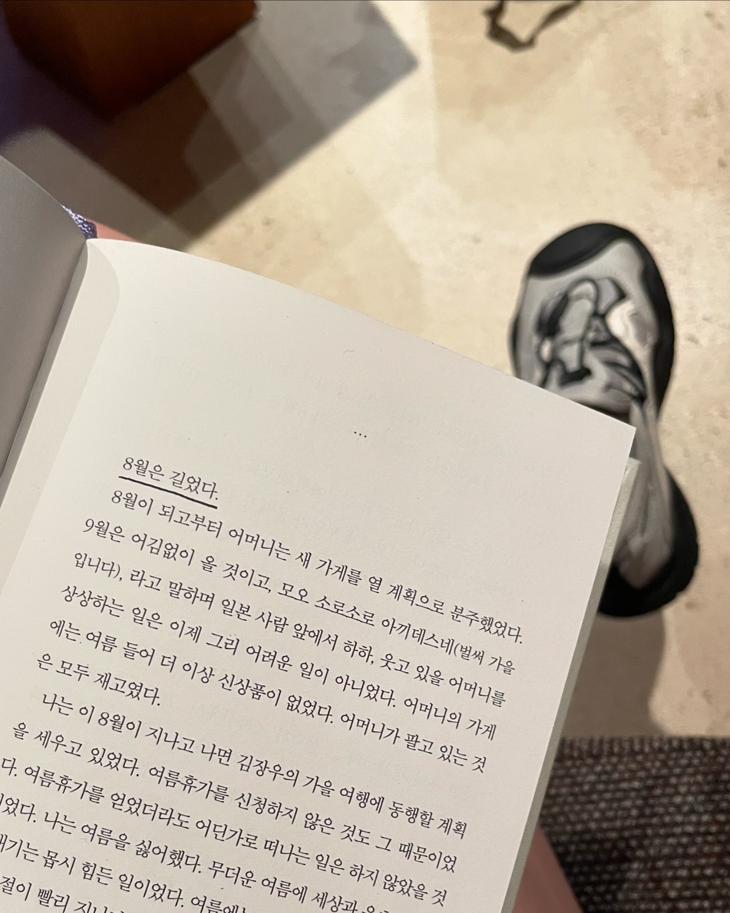 채도 짙은 8월 🫶🏻