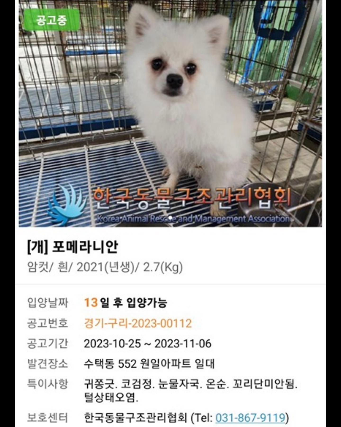 콘텐츠