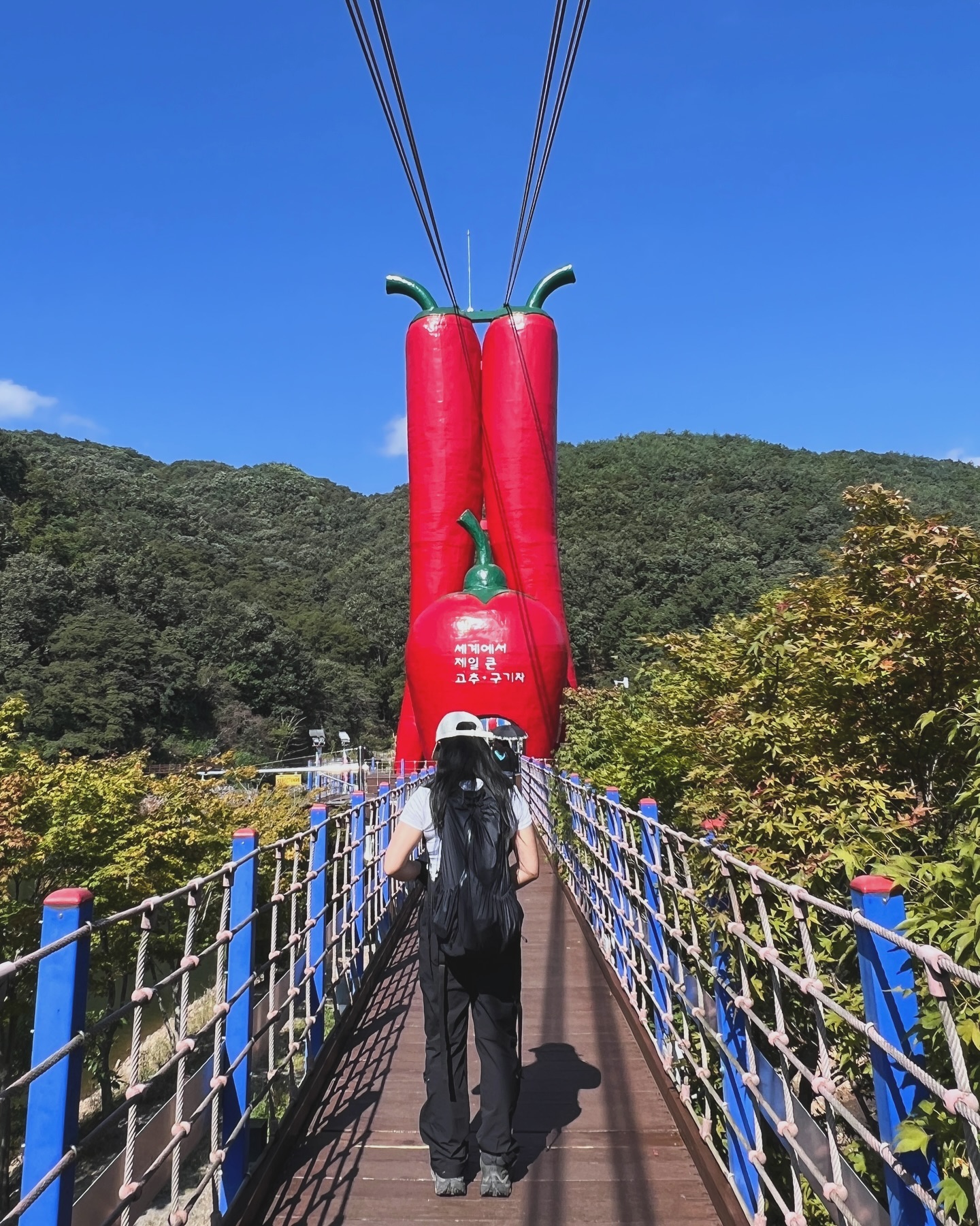 ⛰️(47/100)

📍칠갑산 (561m)

▪충남 청양군 대치면
▪난이도 : ⭐⭐⭐
▪거리 : 약 8.4km
▪소요시간 : 3시간 30분
▪코스
천장호출렁다리 주차장 - 출렁다리 - 천장로 - 정상 - 전망대 - 사찰로 - 장곡사 - 장승공원 주차장
　
　
——
　
　

-ˋˏ♥︎등산하는애 등장♥︎ˎˊ-

산세가 원만하다고 해서 방심한 탓인지 올해 유난히 길었던 장마를 핑계로 너무 오래 쉰 탓인지 정상까지 나름의 고군분투가 있었다. (다녀온 뒤 이틀을 꼬박 근육통에 시달렸다.)

칠갑산은 도립공원답게 험하거나 헤매는 구간 없이 등산로와 안내표지판이 잘 정비되어 있었다. 덕분에 꾸깃 접어뒀던 하찮은 생각들이 마구 튀어나와  머릿속을 해집어 놔도, 또 딱히 생각이란걸 하지않고 텅 비워둬도 어느새 목적지에 도착해 있어 좋았다.

칠갑산 정상(561m)은 동남쪽으로 계룡산, 서북쪽으로 오서산이 있고, 날씨가 맑은 날엔 서해바다까지 조망할 수 있는 곳이지만 초반 등산 스틱 분실 이슈로 시간을 허비한 탓에 정상을 제대로 만끽하지 못한 것이 죄금 아쉽다.
　
　
——
　
　
🌉천장호 출렁다리
　
▪연중무휴로 09:00~18:00까지 이용가능 
▪매주 금토일 야간 개장시간(21:00시, 동절기20:00시)

천장호 출렁다리는 2017년에는 우리나라에서 가장 긴 출렁다리였는데 올해(2024년) 기준으로 예산 예당호 출렁다리가 402m로 가장 긴 출렁다리라고 한다. 순위에 있는 출렁다리를 찾아가 비교해 보는 건 어떨지 💭
　
　
——
　
　
💡우리나라에서 가장 긴 출렁다리 🅣🅞🅟❸

１） 예당호 출렁다리 - 402m (2019년 4월 6일 개통)
２） 마장호수 출렁다리 - 220m
３） 천장호 출렁다리 - 207m
　
　
——
　
　
#등산하는애 #등산하는애_100대명산 #등산하는애_칠갑산