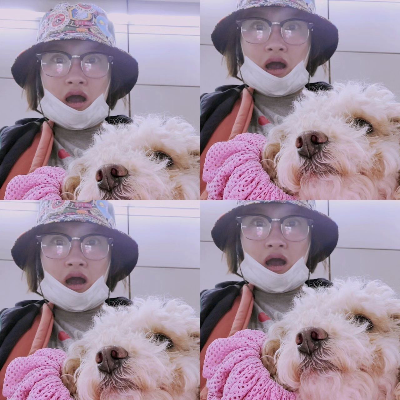 #너와나 #함께있는것이좋아널사랑한거야 #매일매일 #요즘일상 #산책 #강쥐산책러