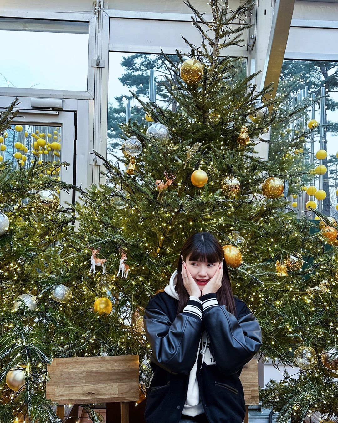 2023년 🎄