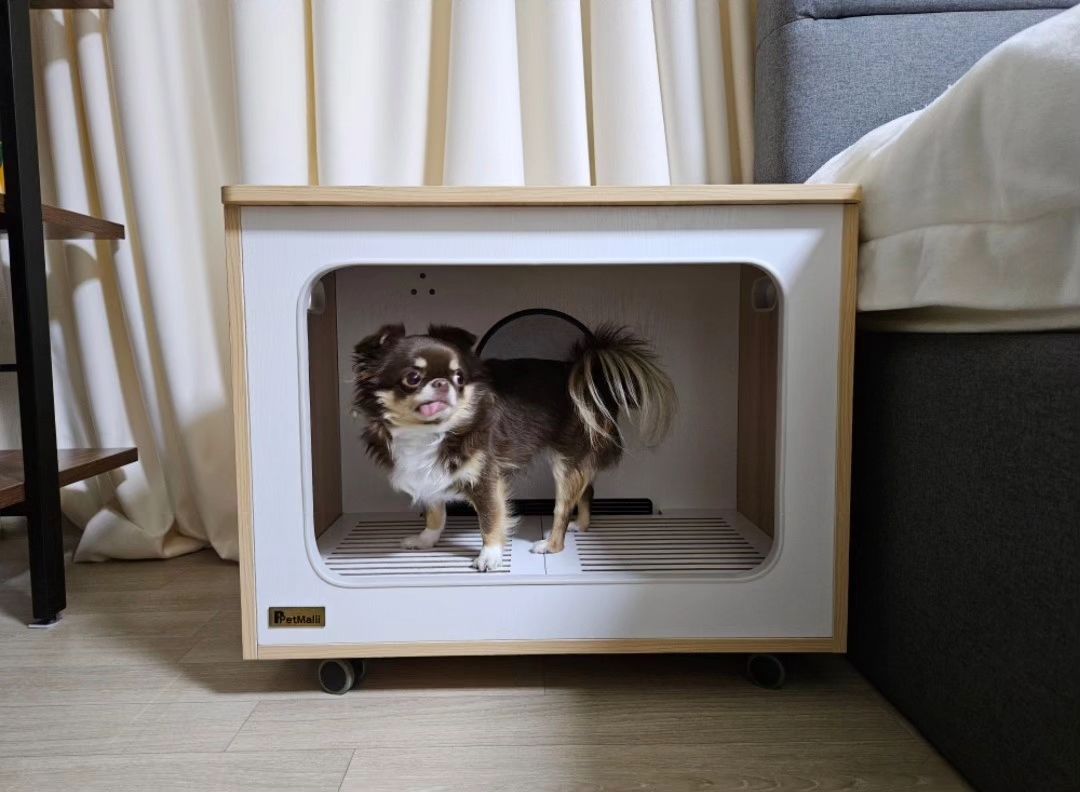 우리 꼬미가 제일 좋아하는 장소가 생겼어요
바로 우드 퍼니처 펫드라이룸 펫말리

모터 소리가  조용한데다가 성능이 완전 최고
에어샤워 기능이 있어서 자주 사용하니
여태까지 산 물건 중 가장 마음에 들어요

요즘 인기가 많은 제품이라
품절이 잘 되어 겨우 구입한 ^^

인테리어로도 좋아서 만족쓰

petmalii_official

#펫드라이룸 #펫드라이기 #애견드라이룸 #애견드라이어 #애견드라이기 #강아지드라이룸 #강아지건조기 #펫스타일러 #강아지털말리기 #반려견드라이룸 #대형견드라이기 #고양이건조기 #강아지드라이어 #강아지드라이기 #고양이드라이룸 #펫말리 #펫말리드라이룸 #펫말리펫드라이룸 #펫드라이룸렌탈 #펫말리렌탈