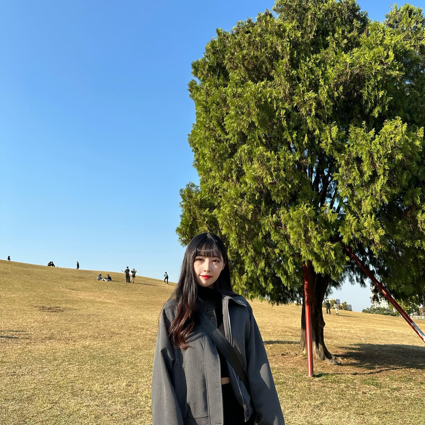 저게 무슨 나 혼자 나무야