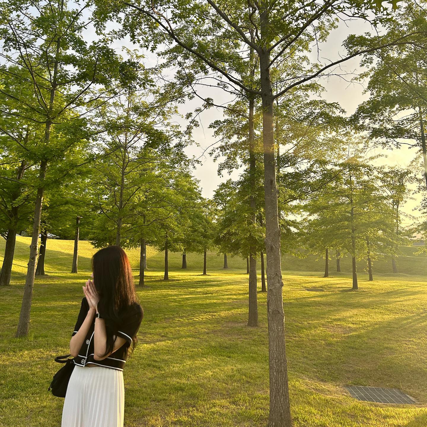 오랜만에 피드 초록색🌿