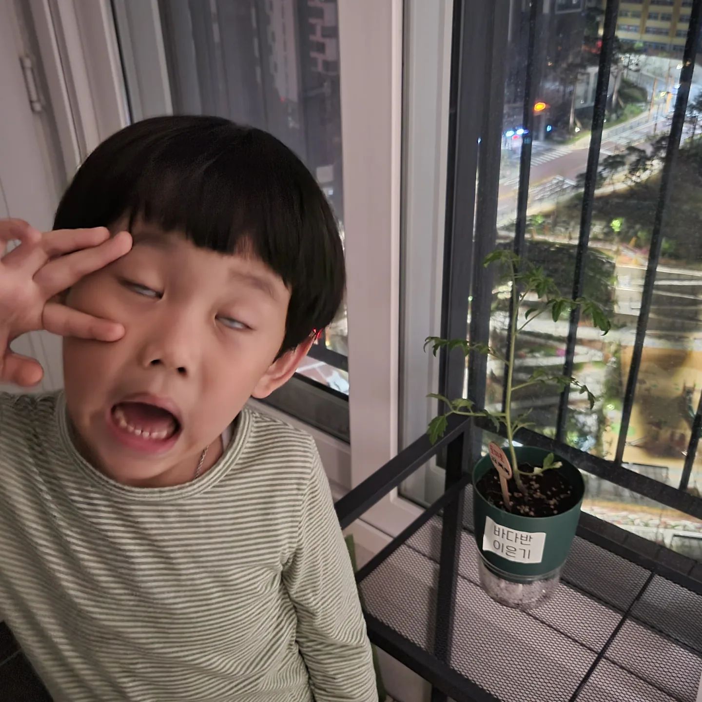 왜ㅜ내가찍으면 사진이 이따구야..?