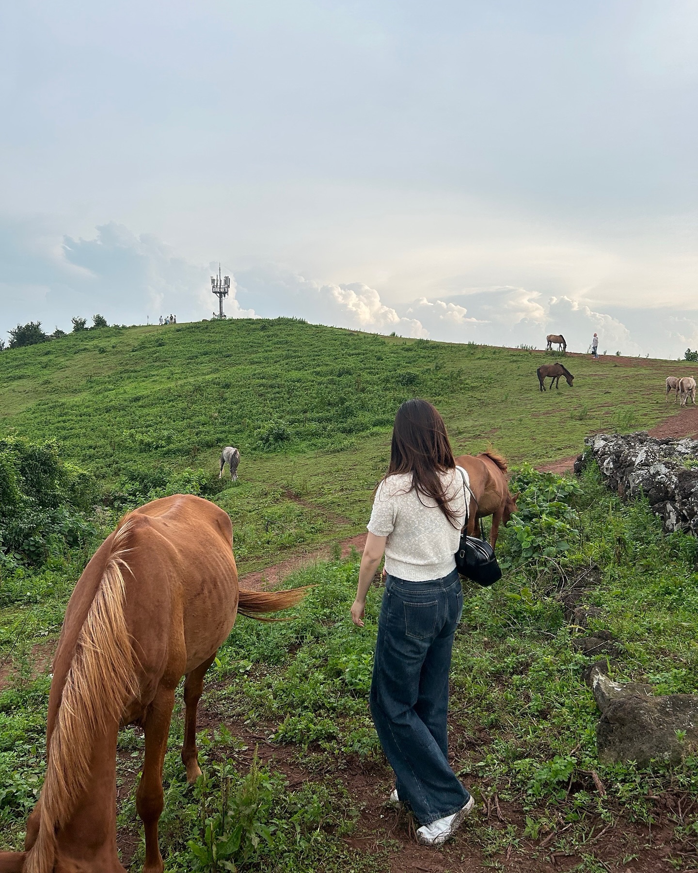 말과 함께 .. ʚ🐴ɞ
