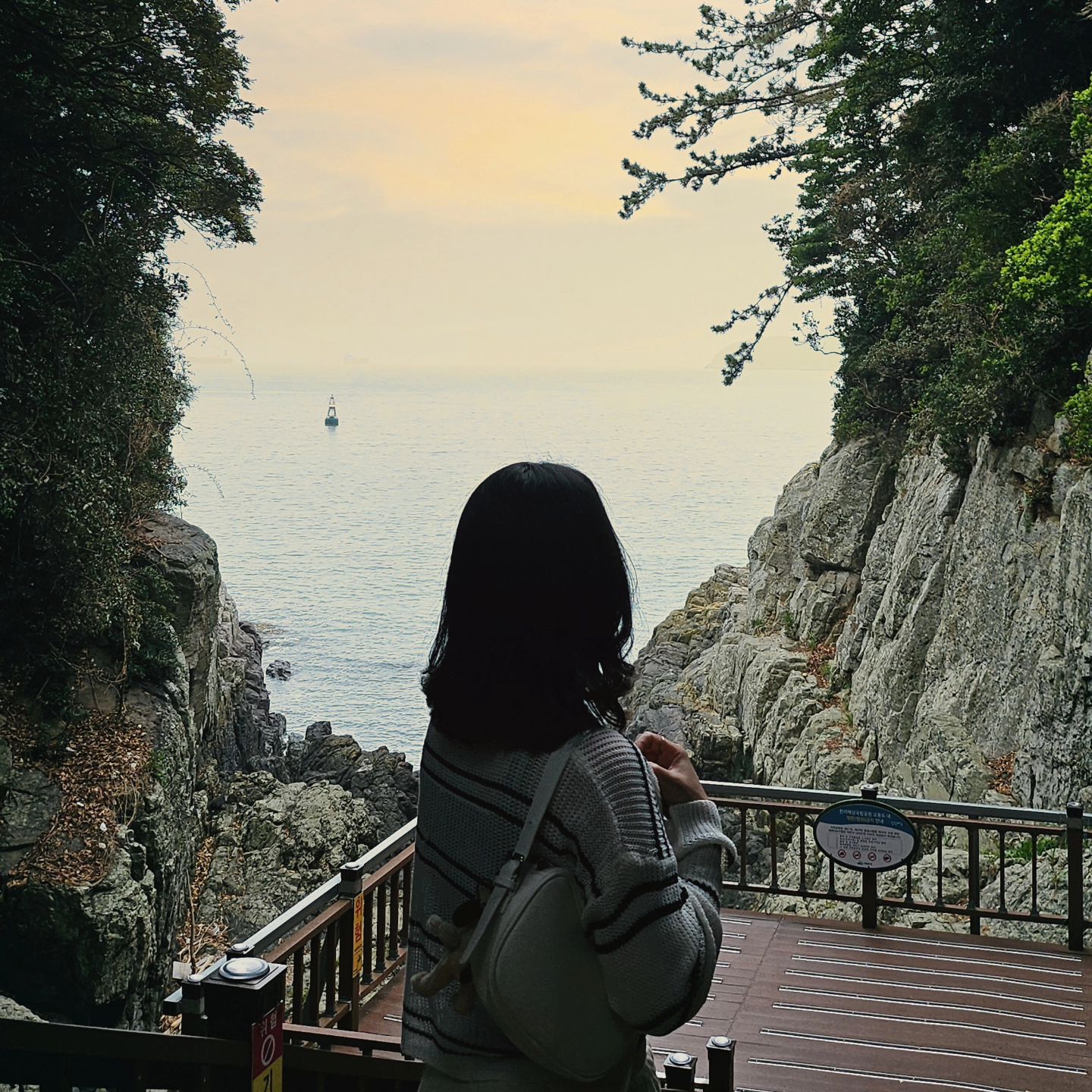 오동도☁️
.
.
.
#여수여행 #여수 #오동도 #여행스타스램 #여수가볼만한곳 #여수사진스팟 #여수사진찍기좋은곳