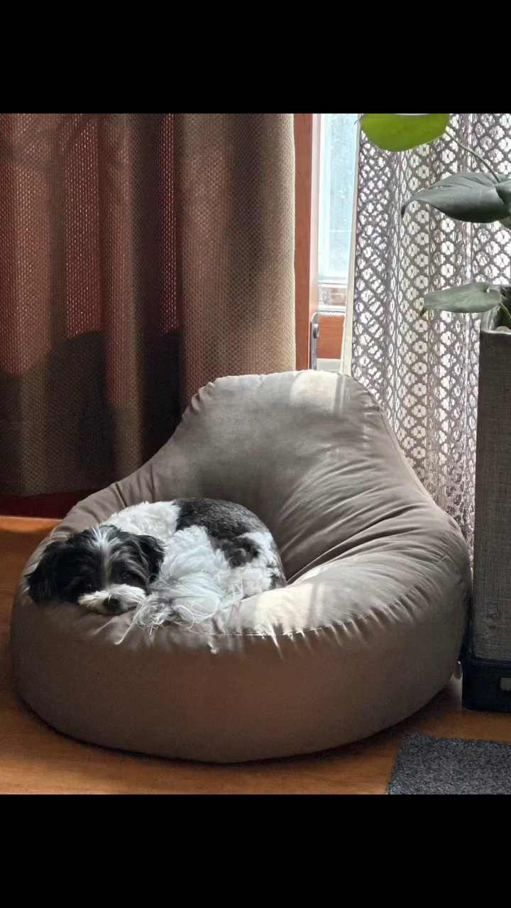 콘텐츠