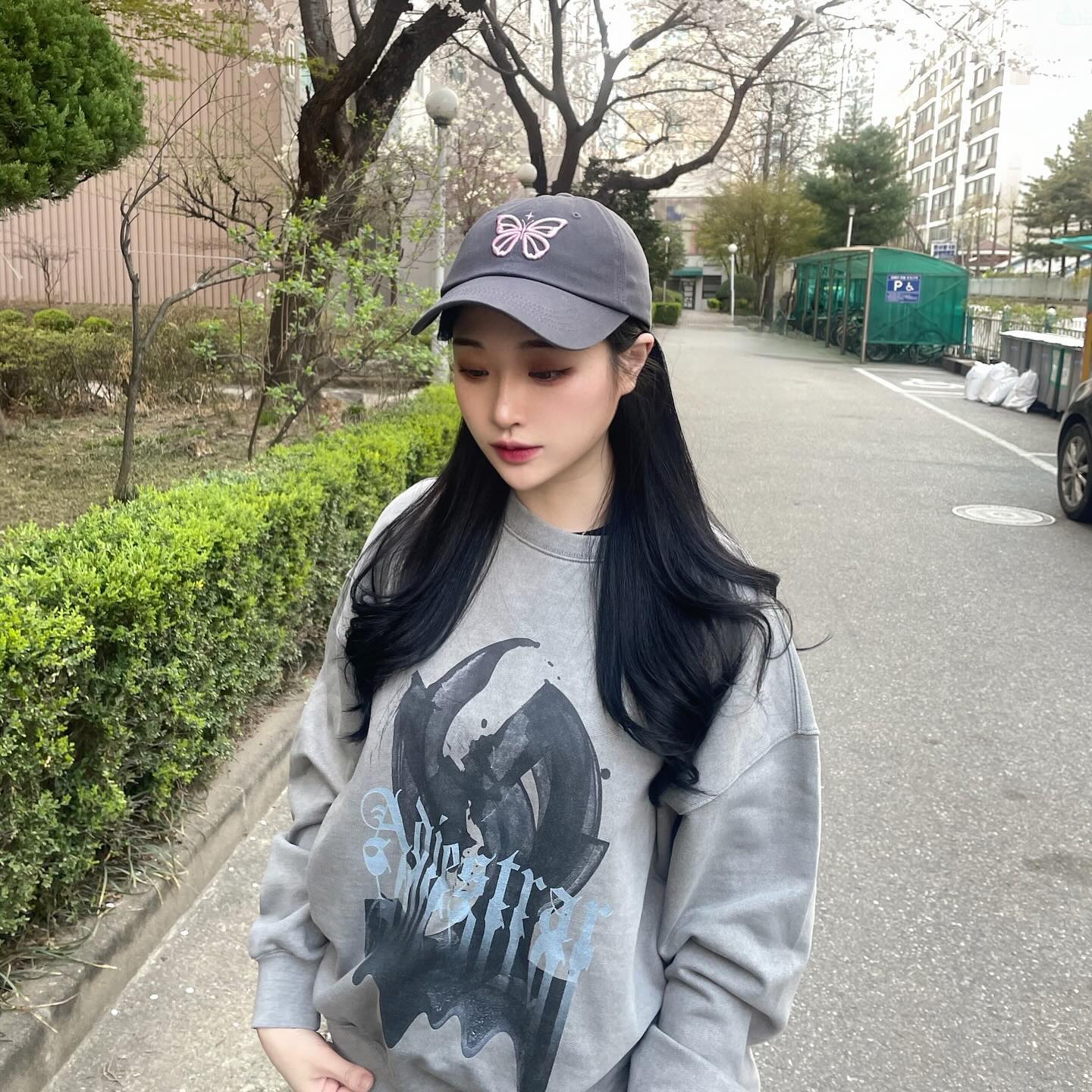 핑크색 나비 로고가 뽀인뚜인 닉앤니콜 볼캡🦋🩶🩷