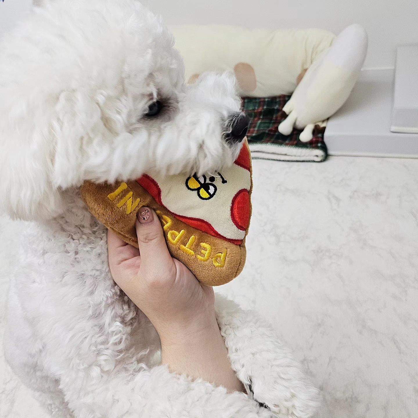 🍕 피자먹방듕

천천히 한입씩 먹기 답답했니⁉️
내놓으라고 난리🤣🤣🤣

#오늘의강아지 #피자먹방 #바잇미 #장난감피자 #집에서노는법 #비숑놀아주기 #pizza #toypizza #eatpizza #dailydog