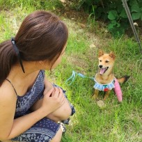댕댕이 구찌와 라리언니가 함께하는 블로그기록 : 네이버 블로그