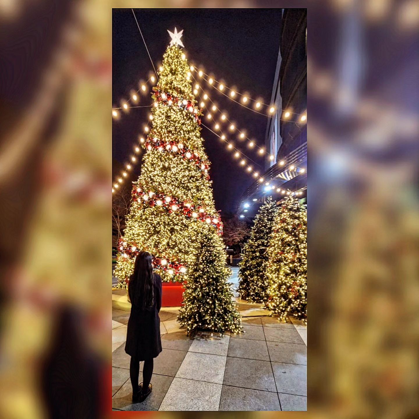🎄