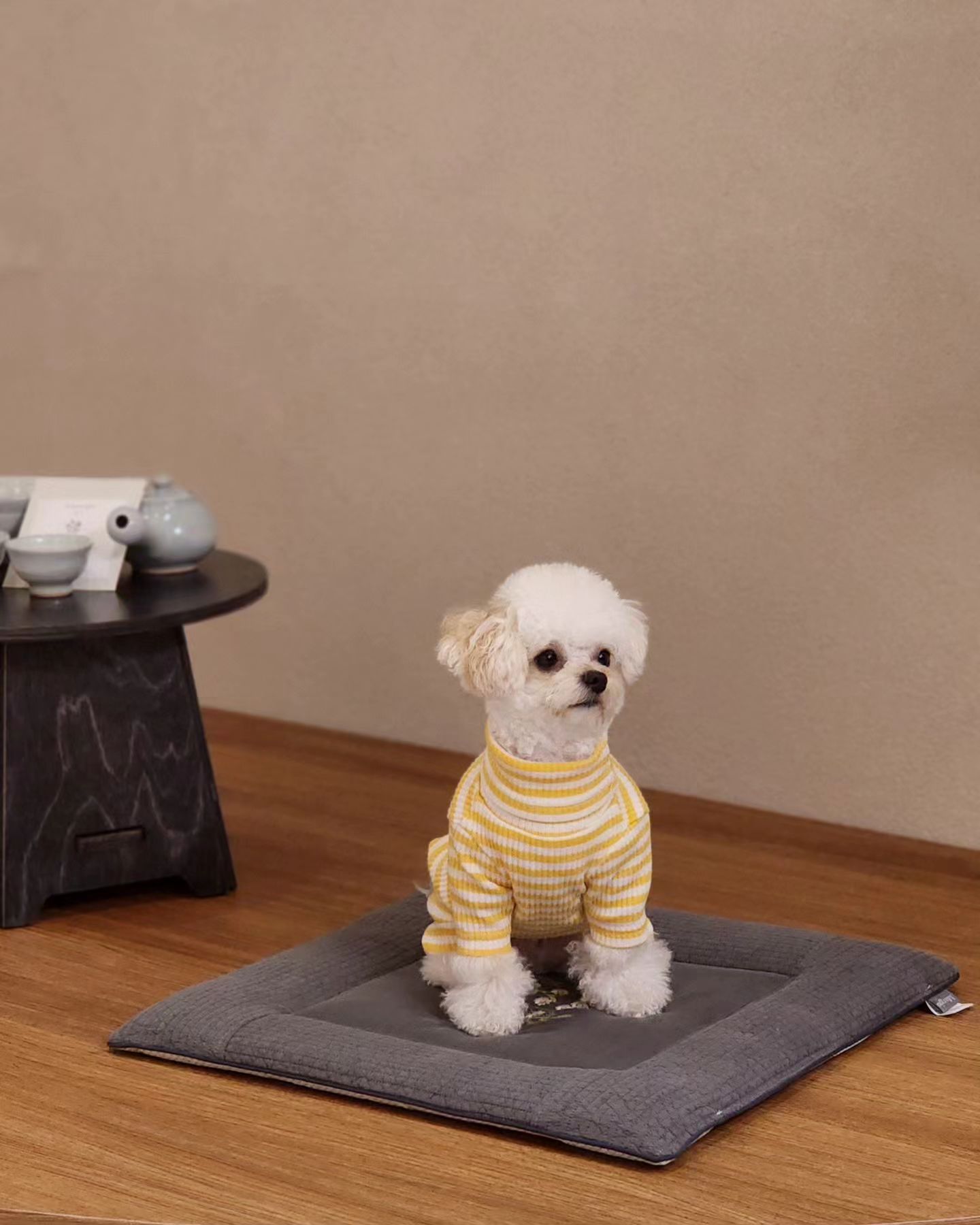 #광고#협찬

몽이와 함께한 홍천🐶
풀스테이 스테이펫🏡

고즈넉한 한옥 느낌의 스테이, 한적하고 편안한 인테리어가 좋았다

각 룸마다 평수도 다르고 구조도 달라서 차이가 있긴 하지만 아늑했던 곳😊

반려견과 함께 홍천으로 간다면,
가족이 함께 간다면 큰 평수로 추천!👍
.
#홍천#반려견동반여행#스테이펫#풀스테이#몽이는몽글몽글#반려견동반숙소#숙소제공#숙소협찬