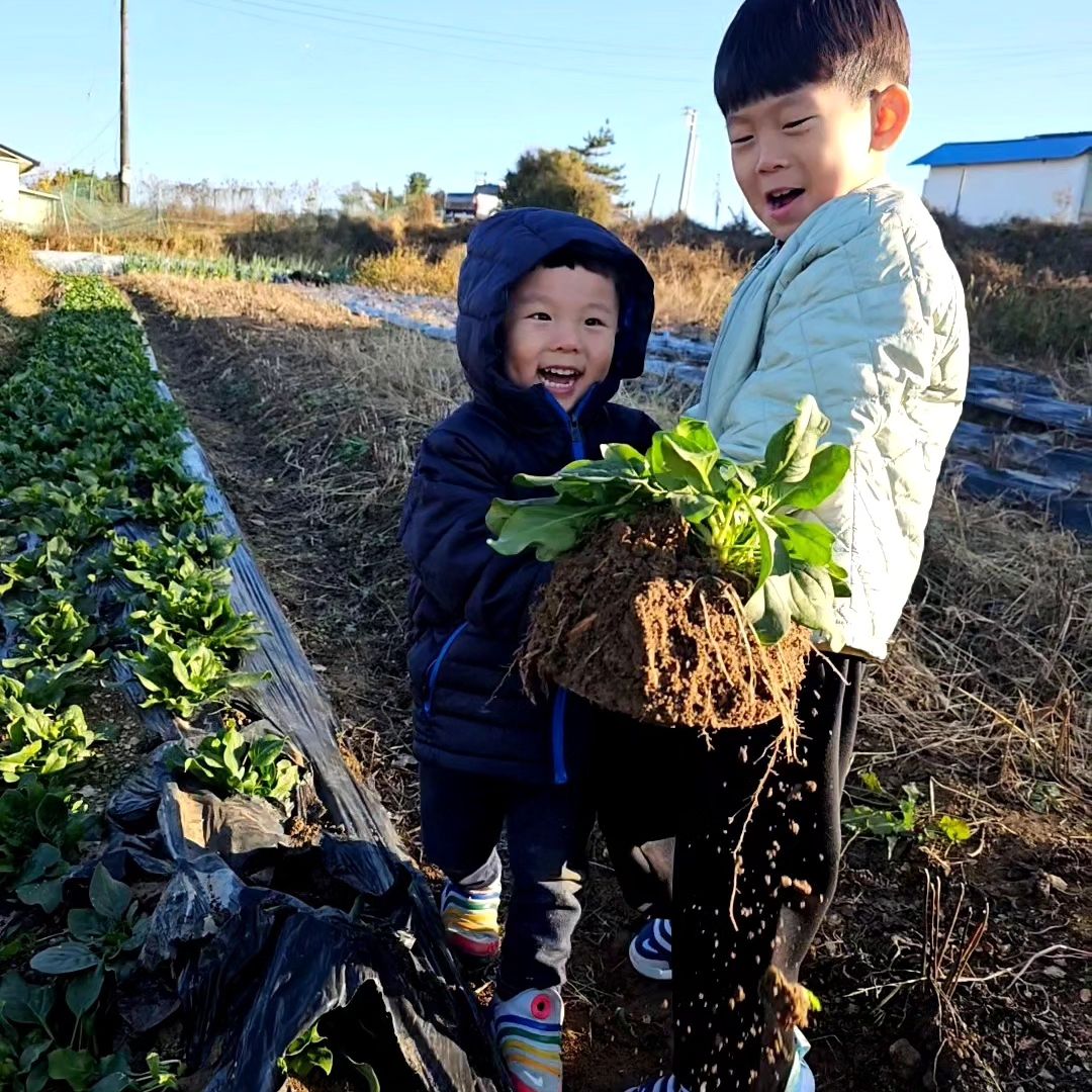 우리집 아이들♡
할머니밭에는 모든 다~~있다고 생각하는 아이들
오늘은 시금치, 파 
즐거워하니 좋구나😍

#웃을때젤예뻐 
#잘때는더이뻐 
#ㅋㅋㅋ
