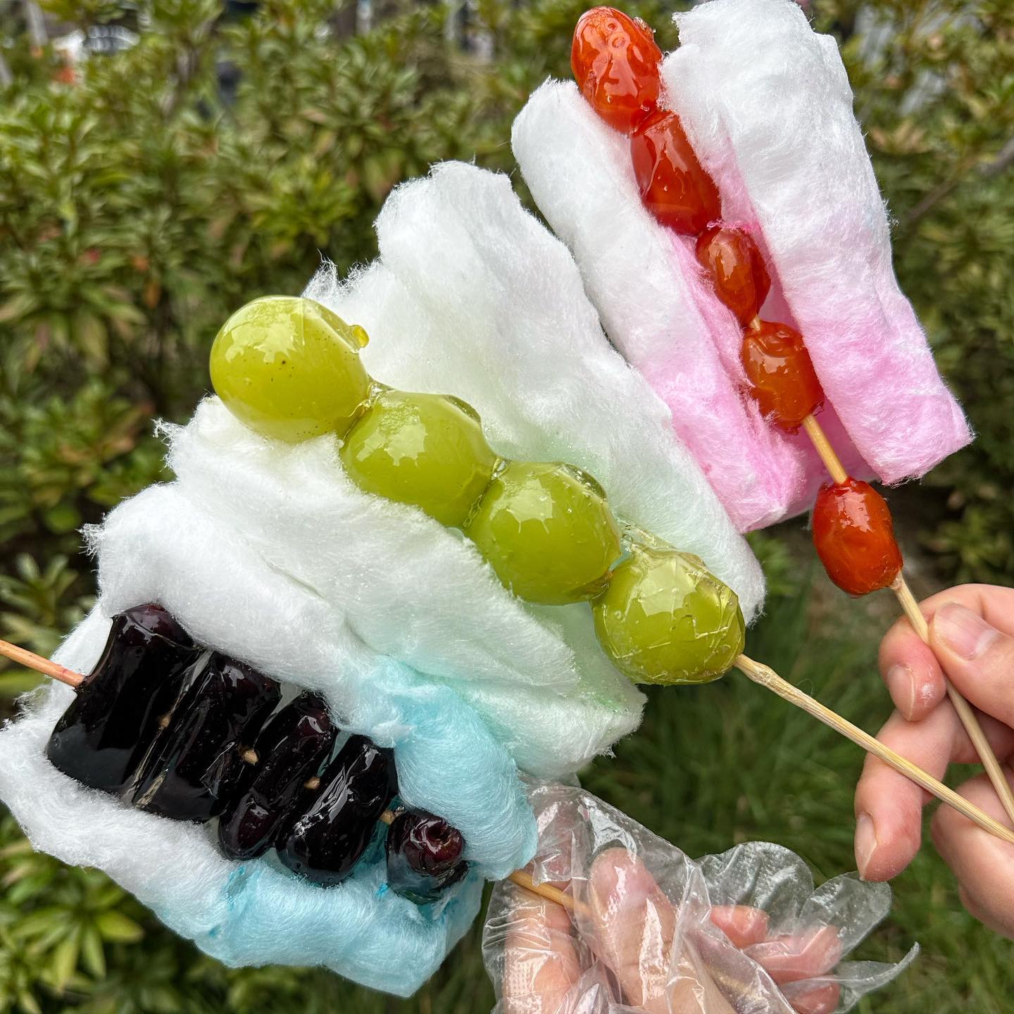 솜사탕후루 서울에는 안팔아서
직접 만들어 먹음

☝️솜사탕후류 만드는 방법
1.솜사탕을 산다(마트나 편의점 등)
2.탕후루를 사거나 만든다
3.솜사탕을 넓게 만들어서 탕후루에 두른다
4.탕후루 뇌절한다

너무 달아서 탕후루 끊게되는 맛임
식감은 솜사탕이랑 탕후루 같이 먹는 식감. 상상되는 그맛임

#먹방탐험가 #먹탐 #탕후루 #솜사탕후루 #솜사탕 #이색탕후루 #탕후루만들기 #탕후루맛집 #디저트 #간식 #이색간식 #간식만들기 #솜사탕탕후루