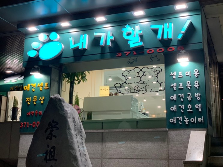 [광주 내가할개!]셀프미용, 탄산스파, 5성급 애견호텔 추천:)