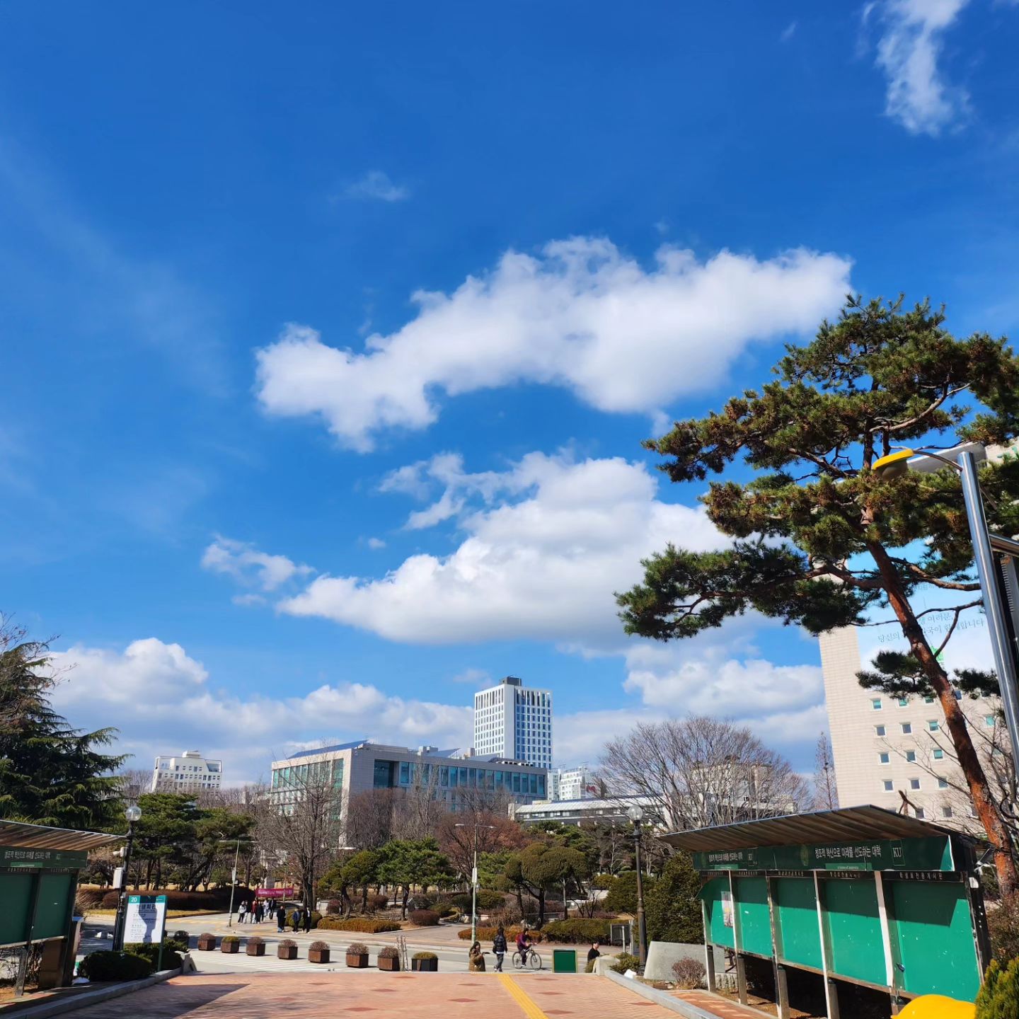 봄이 성큼 다가온 듯한 날~
하늘은 청명하고 햇볕은 따뜻♡
곧 3월~~~ 
곧 24학번 신입생들과 재학생들로 북적거릴
캠퍼스가 기대^^
#건국대 #건국대캠퍼스 #건국대네비게이토