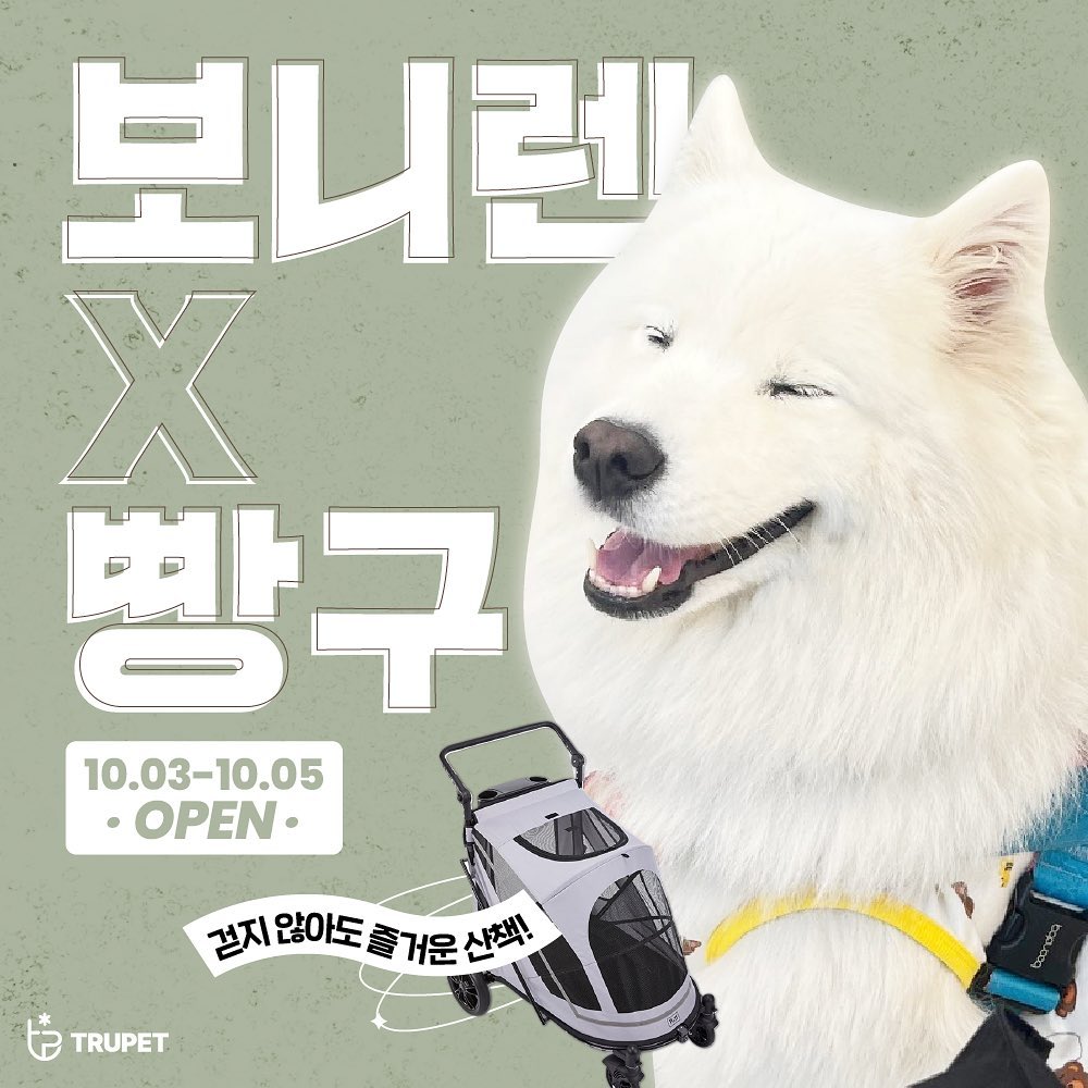 ❤️‍🔥 보니렌 개모차 공구 ❤️‍🔥 

공구는 10월 3일 ~ 10월 5일 진행합니다!!! 

요즘 개모차만 있으면 우리 강아지들 데리고 어디든 갈 수 있지요 :) 
보니렌 개모차로 아이들과 소중한 추억 하나씩 쌓아보세요☺️

📍 보니렌 유모차 공구 구성

1️⃣. 펫6 (15kg이내 ) : 정가 376,000원 ➡️ 공구가 149,000원
2️⃣. 펫9 (40kg이내 ) : 정가 432,000원 ➡️ 공구가 189,000원
3️⃣. 펫11 (60kg이내 ) : 정가 476,000원 ➡️ 공구가 219,000원 
4️⃣. 펫9 보호 커버 : 17,000원
5️⃣. 펫11 보호 커버 : 19,000원

👾 20kg 사모예드 빵구는 펫11 사이즈 사용중

🟢 아이들의 등길이, 체형, 골격, 앉은키 등을 고려해서 선택해주세요! 
🟠 예민한 친구들은 보호커버 함께 구매할 수 있게 옵션에 넣어놨습니다 :) 
🔵 사이즈 상담 및 제품 문의는 DM주세요 

🗓️ 공구 기간 : 10월 3일 ~ 10월 5일 
📦 무료배송 / 제주 산간 지역 3,000원
🚚 물류 이슈로 10월 18일부터 주문 순서대로 순차 배송됩니다. 참고해주세요 ◡̎ 

#개모차 #강아지유모차 #대형견유모차 #대형견유모차공구 #개모차공구 #강아지유모차공구 #보니렌공구 #보니렌11