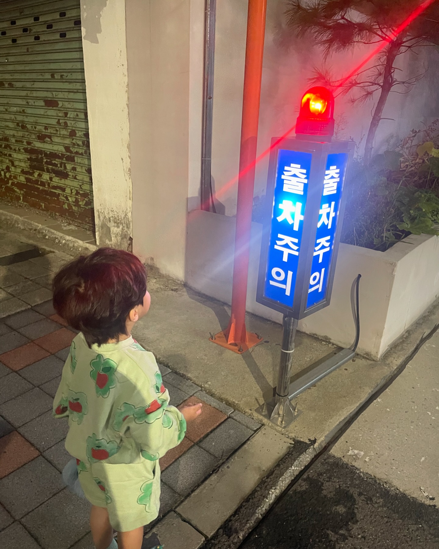 🐯_D+911

삐용삐용 불면 다 경찰차, 구급차, 소방차래🚒
