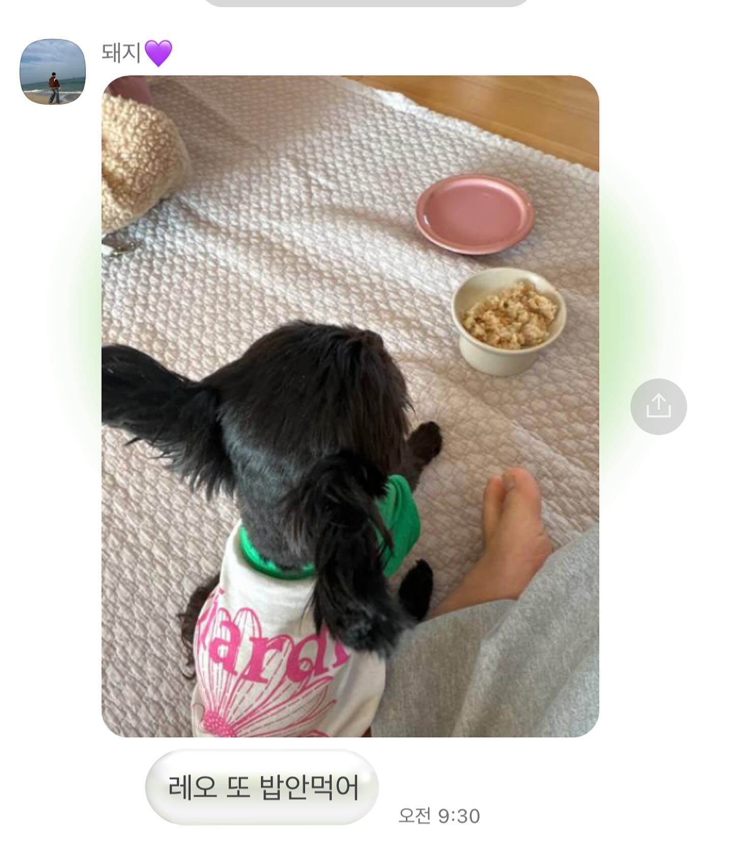 형아는 내 마음도 모르구