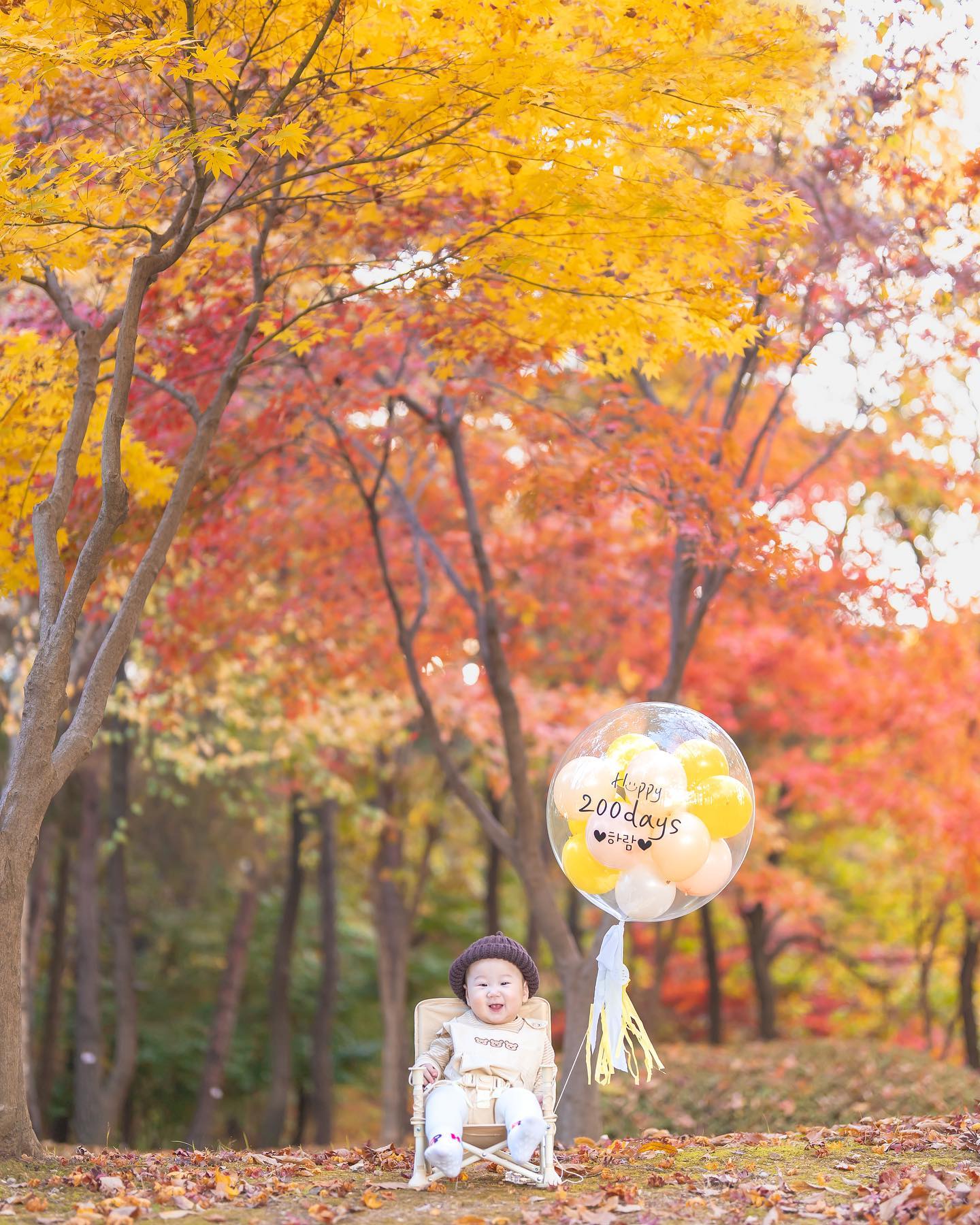 #소니이미지갤러리

이제야 올리는 하람이의 200일 스냅 🍁

알록달록 예쁜 단풍이 지는 가을에 200일을 맞이한 람이 축하해😍💛

엄마 아빠가 많이 많이 사랑한다 🧡

스냅 seyo_fffix 
풍선 twoyulmate_